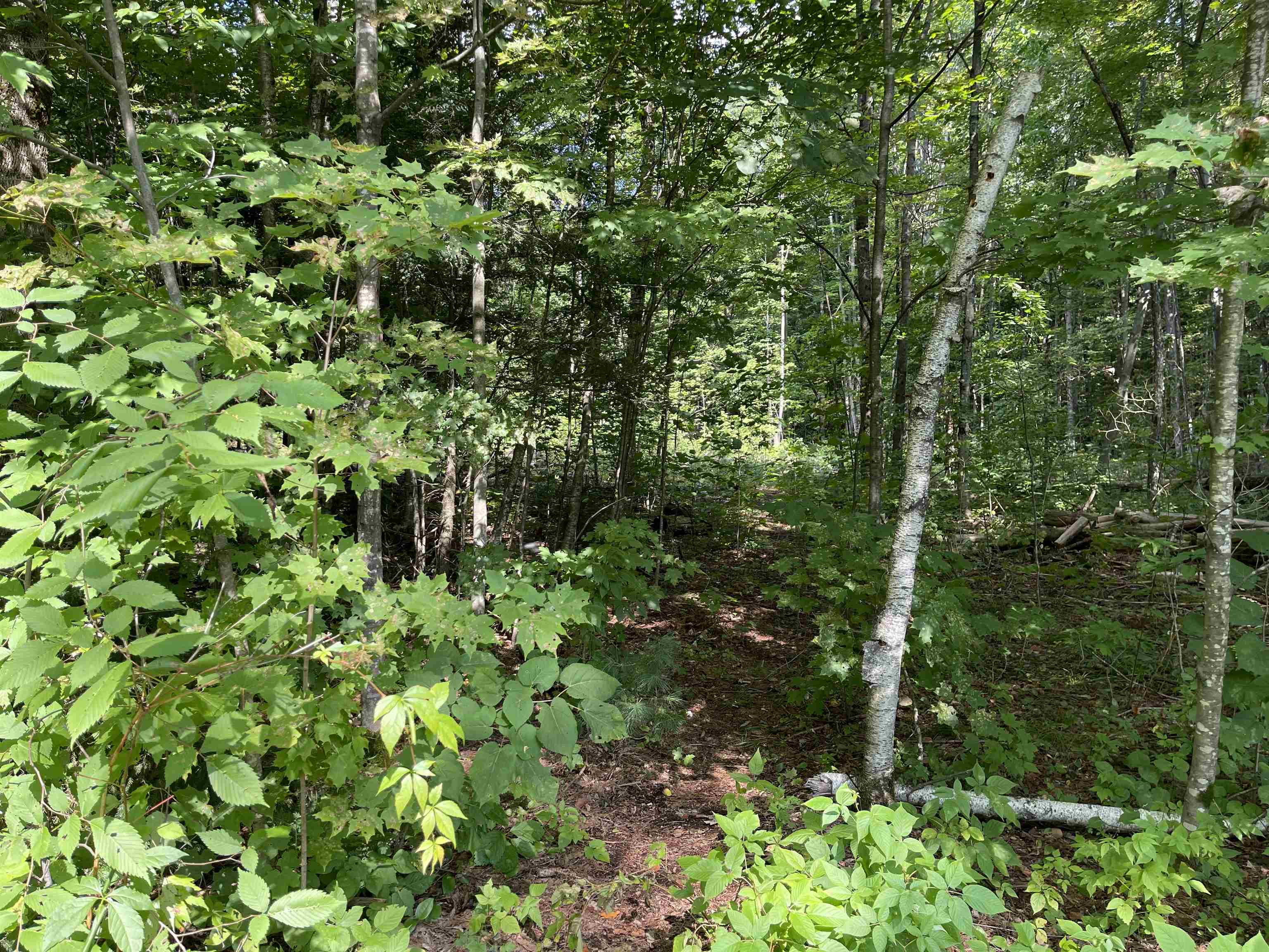 Newest Mad River Valley Real Estate Listings