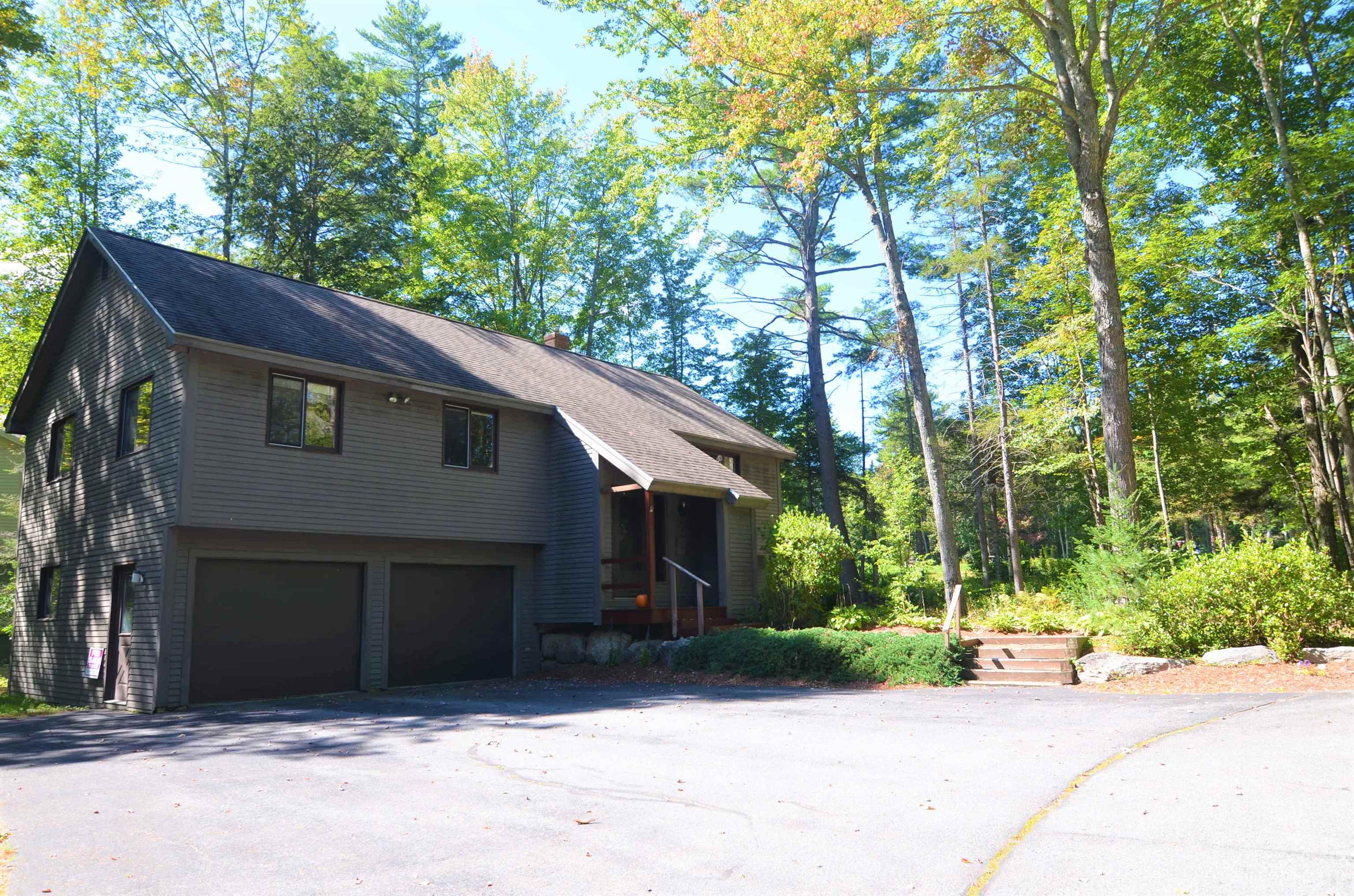 VILLAGE OF EASTMAN IN TOWN OF GRANTHAM NH Homes for sale