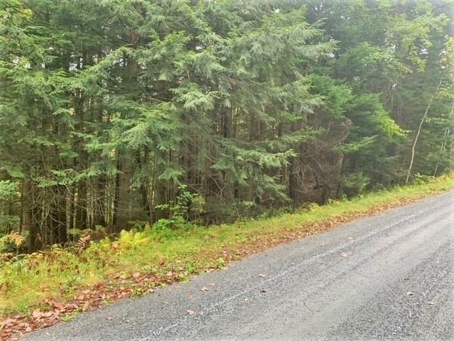 Village of Eastman in Town of Grantham NH  03753 Land for sale $List Price is $14,900