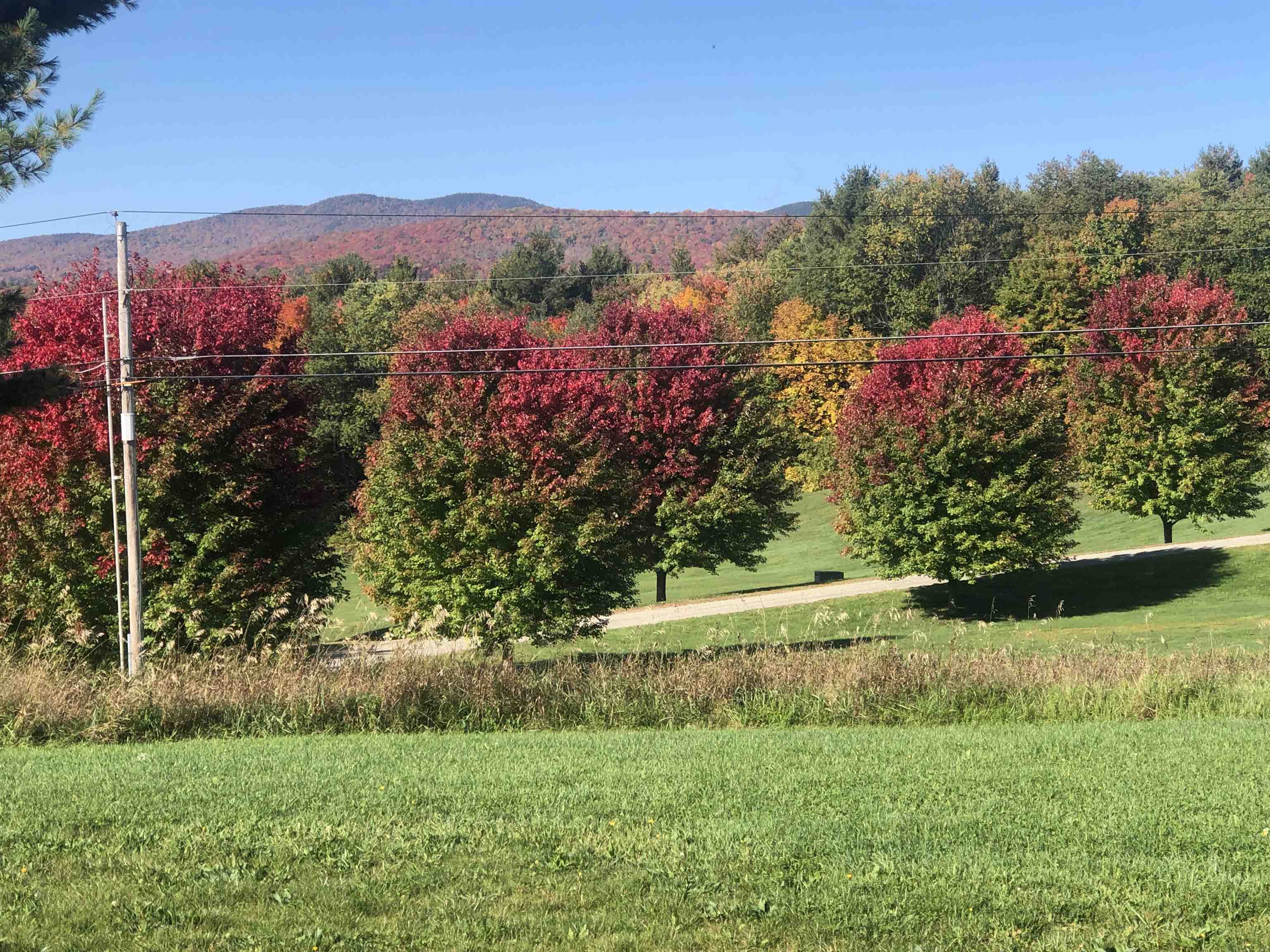 Vermont-Real-Estate-4887341-0