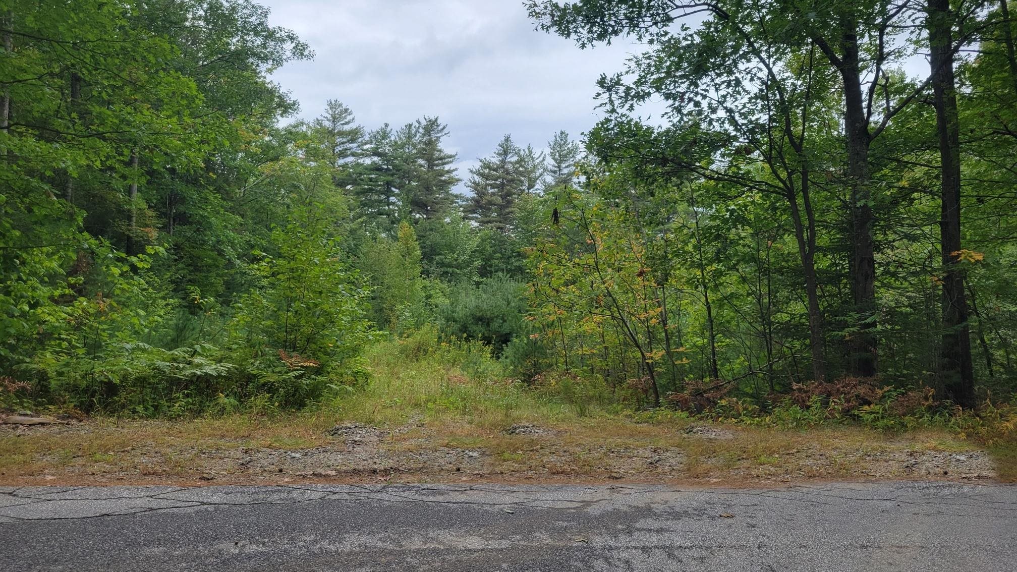 Lot 18 Dickey Hill Road Deering, NH Photo