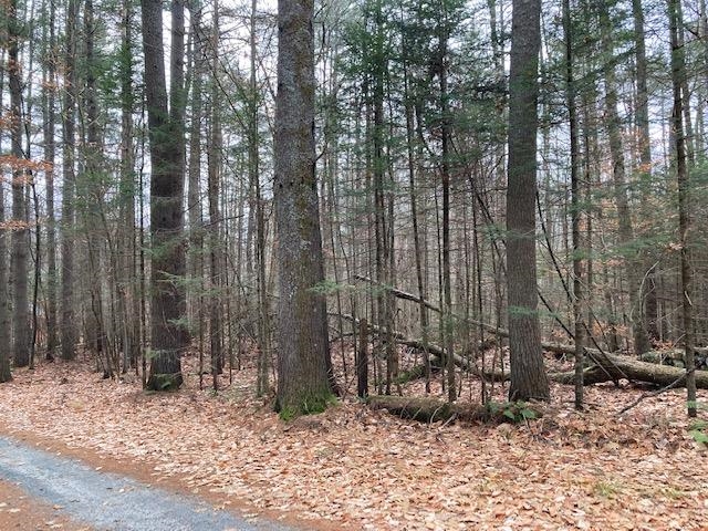 Blueberry Woods Drive, Canaan, New Hampshire, NH 03741, ,Commercial,For Sale,4890994
