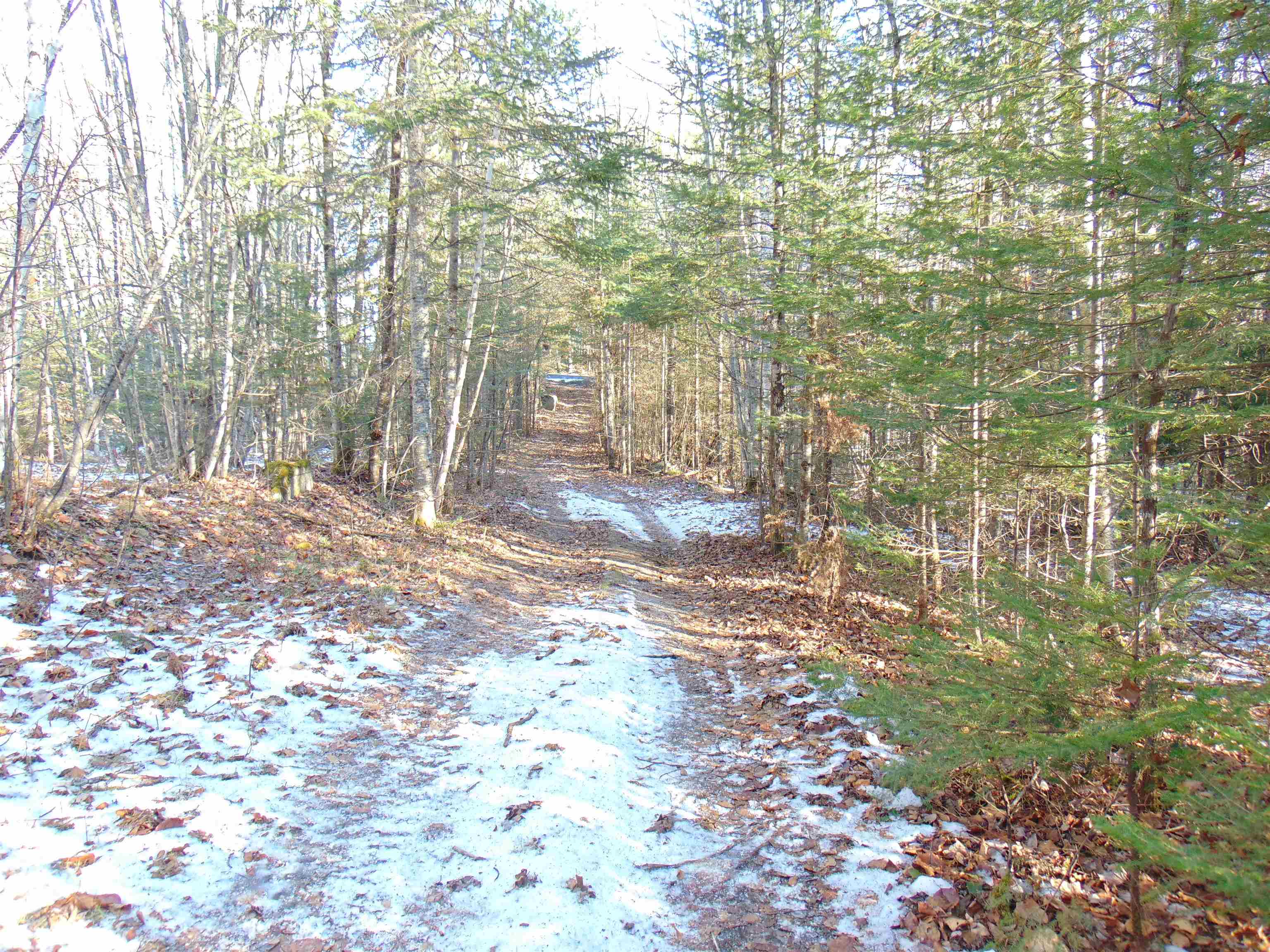 0 OREGON ROAD, Concord, VT 05824 PrimeMLS