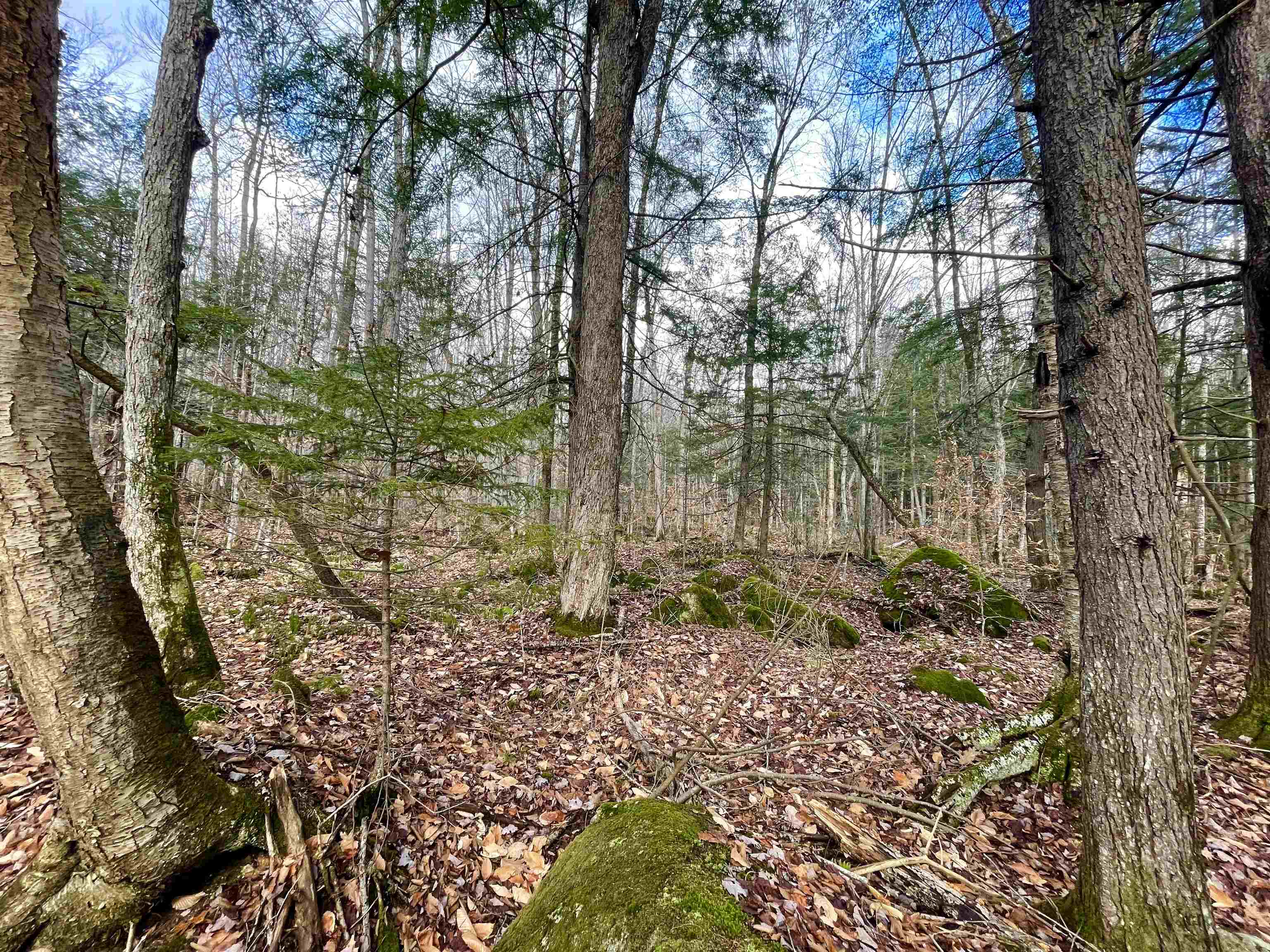 Canaan NH Real Estate Canaan New Hampshire Land / Acres For Sale page 1