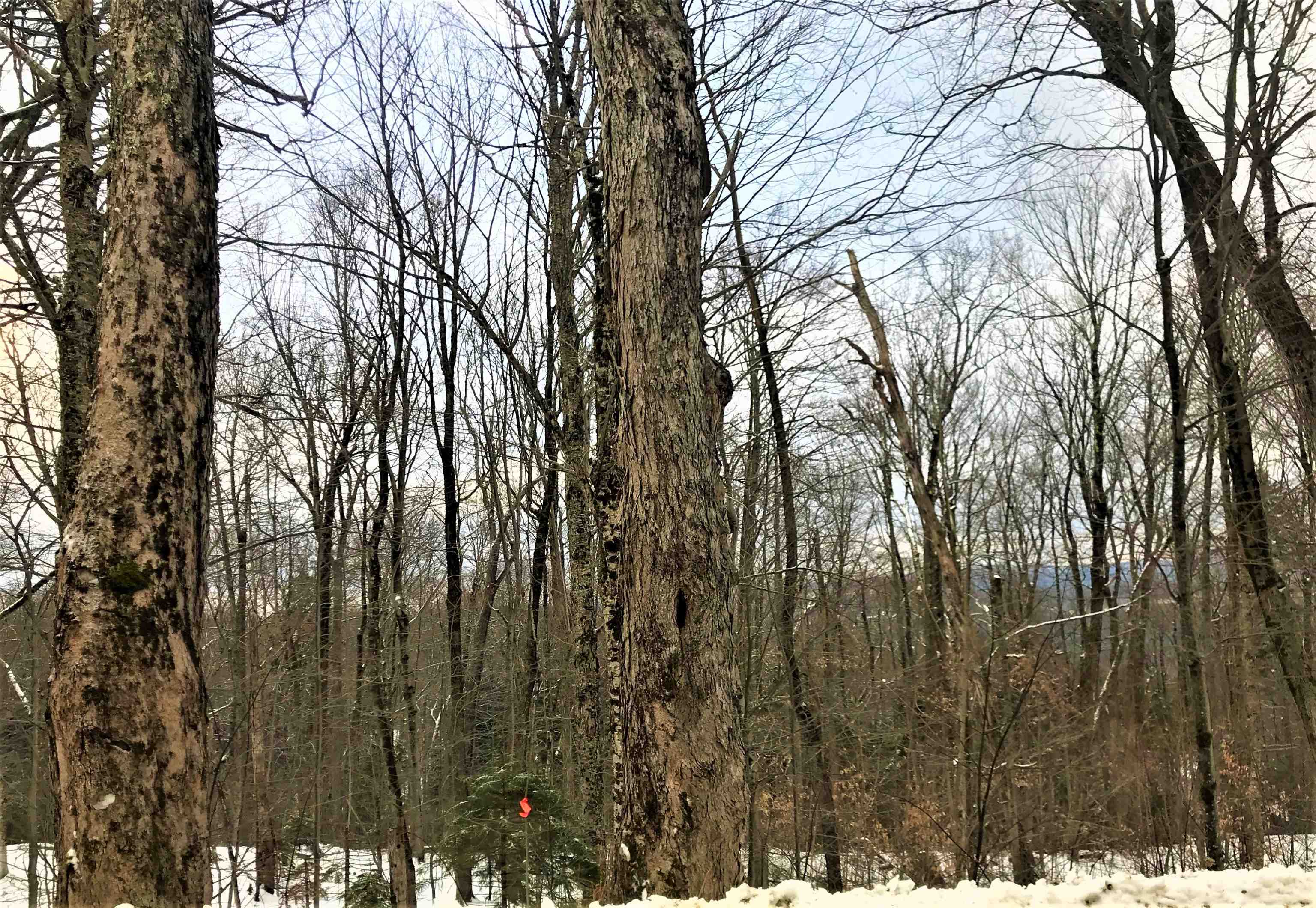 139 Big Bend Loop M139, Wilmington, VT 05363