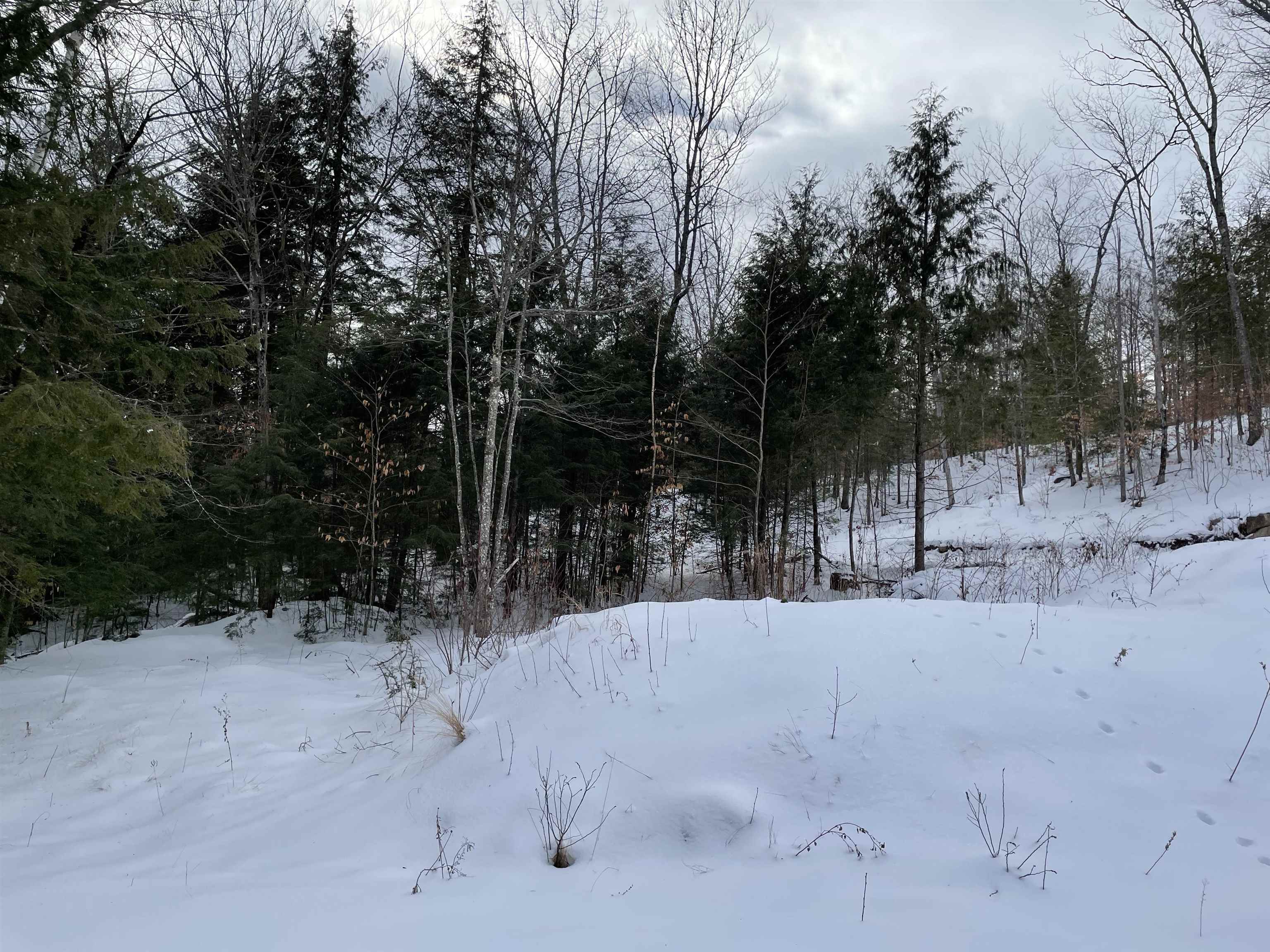Lot 5 Seven Pines Road Holderness, NH Photo