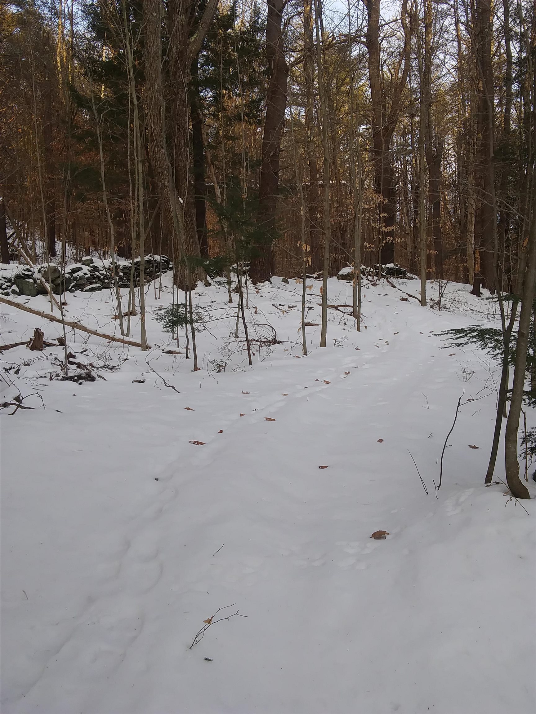 CORNISH NH Land / Acres for sale
