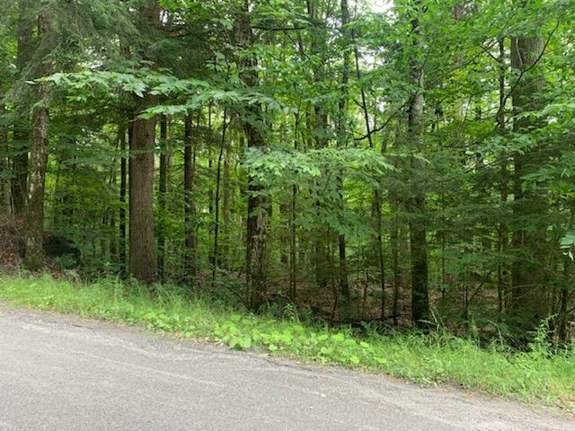 Village of Eastman in Town of Grantham NH  03753 Land for sale $List Price is $19,000