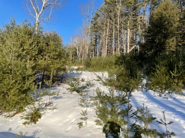 Norwich VT 05055 Land for sale $List Price is $170,000