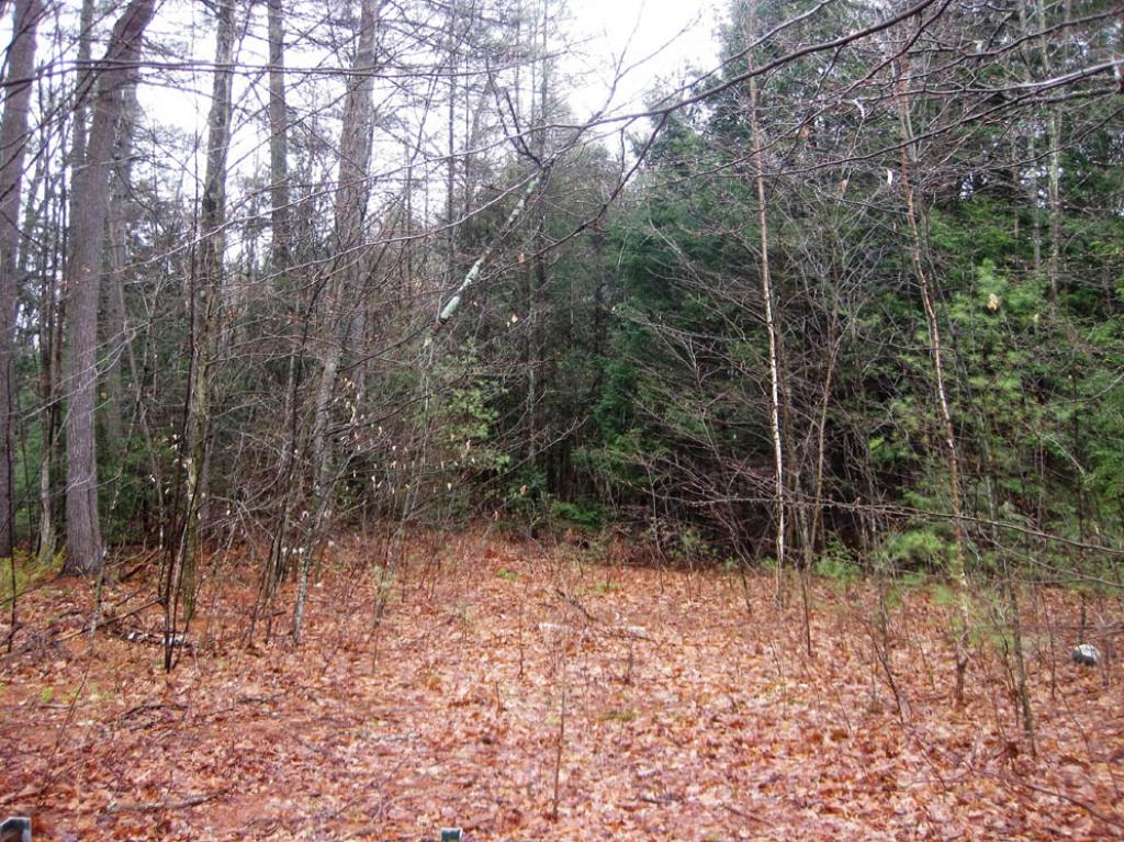 Lot 2 Route 25  Wentworth, NH Photo