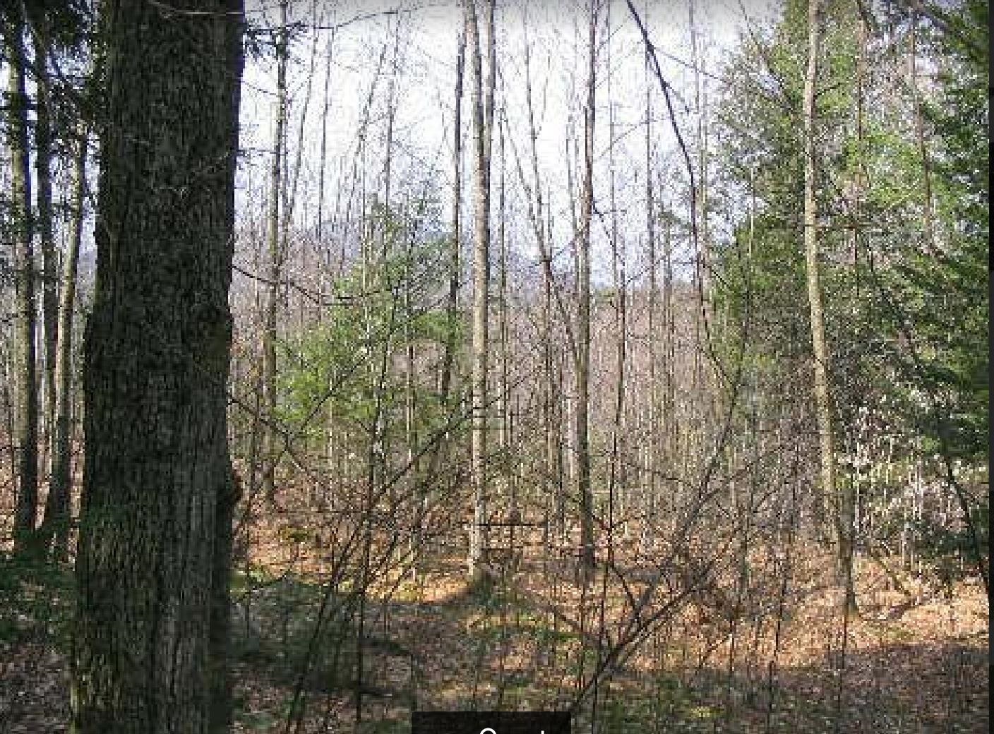 CORNISH NH Land / Acres for sale