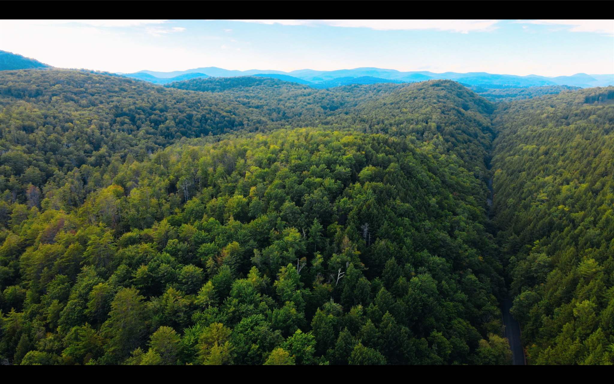 000 Grafton Road, Chester, VT 05143 NEREN