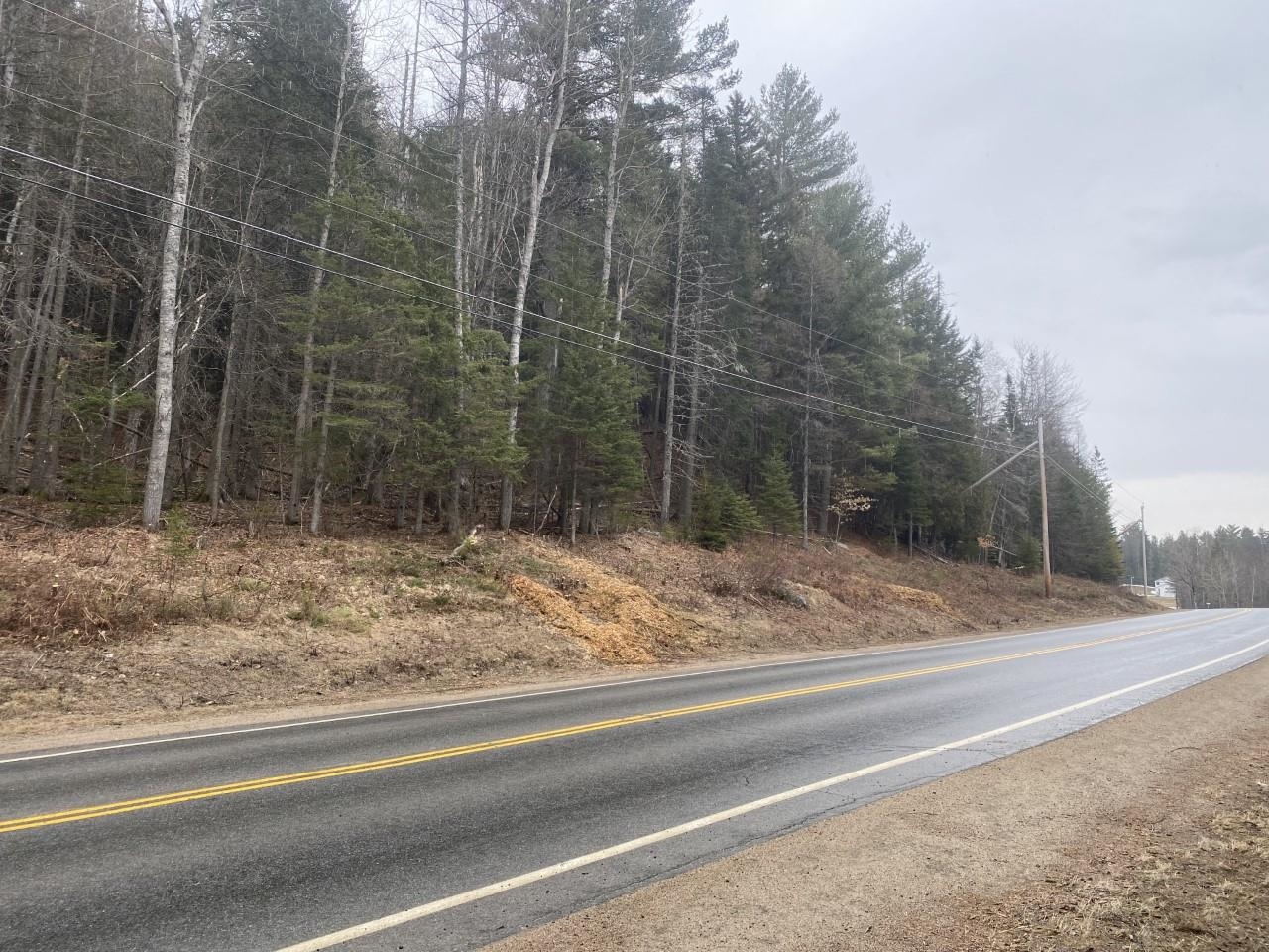 Lot 21 East Side River Road Milan, NH Photo