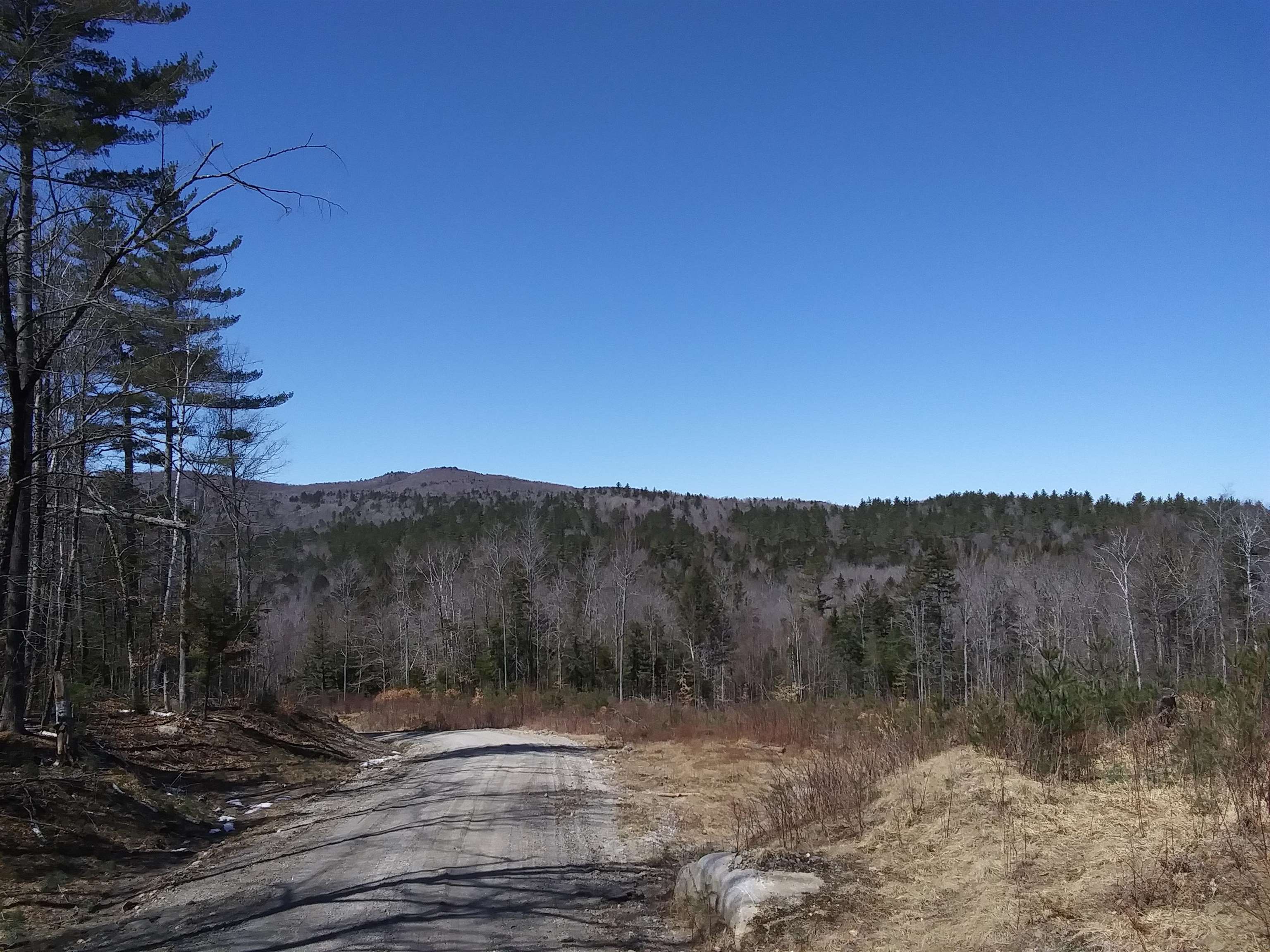 Victoria's Mountain Way, Groton, NH 03266 NEREN
