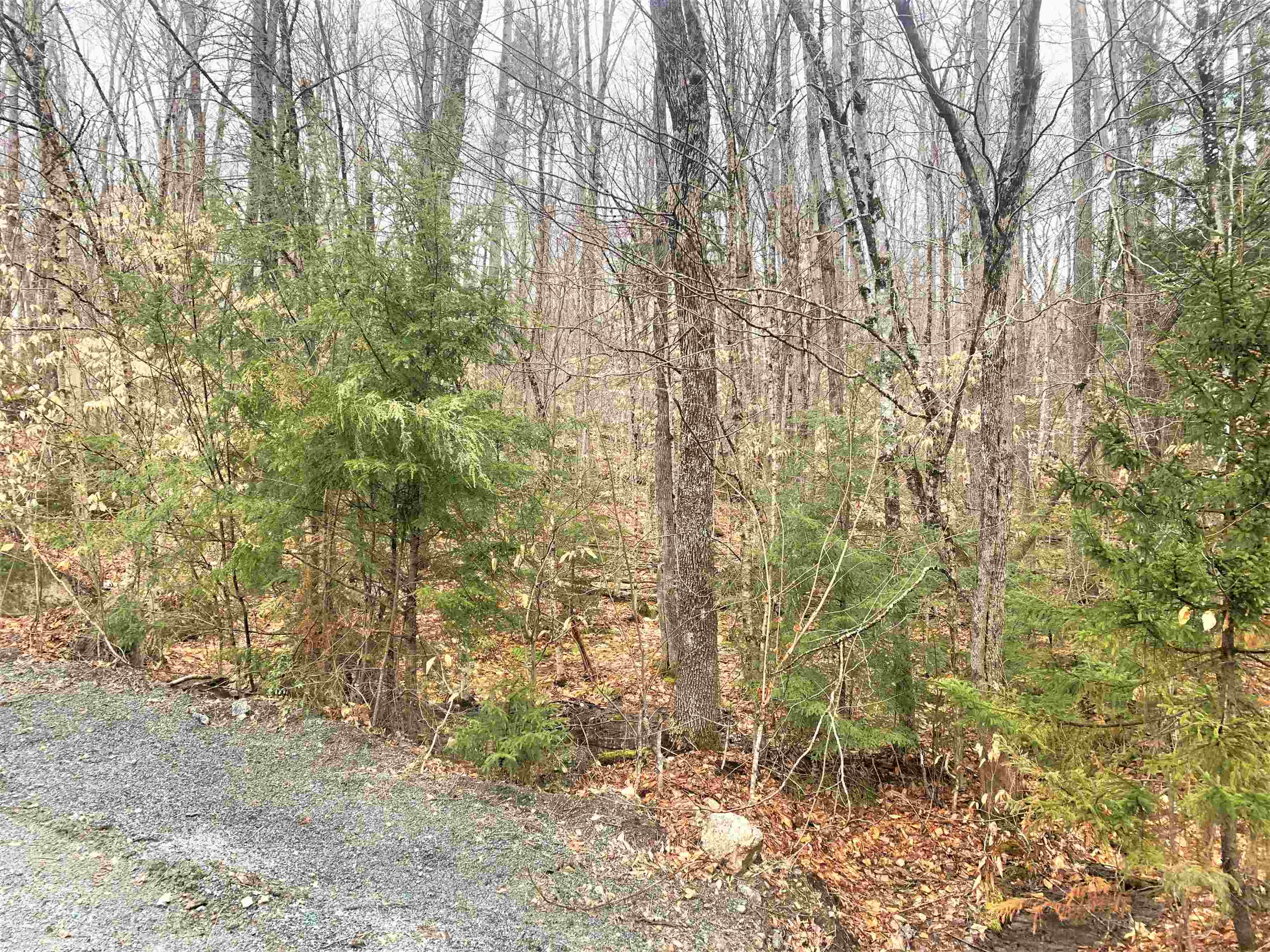 Village of Eastman in Town of Enfield NH  03748 Land for sale $List Price is $17,500