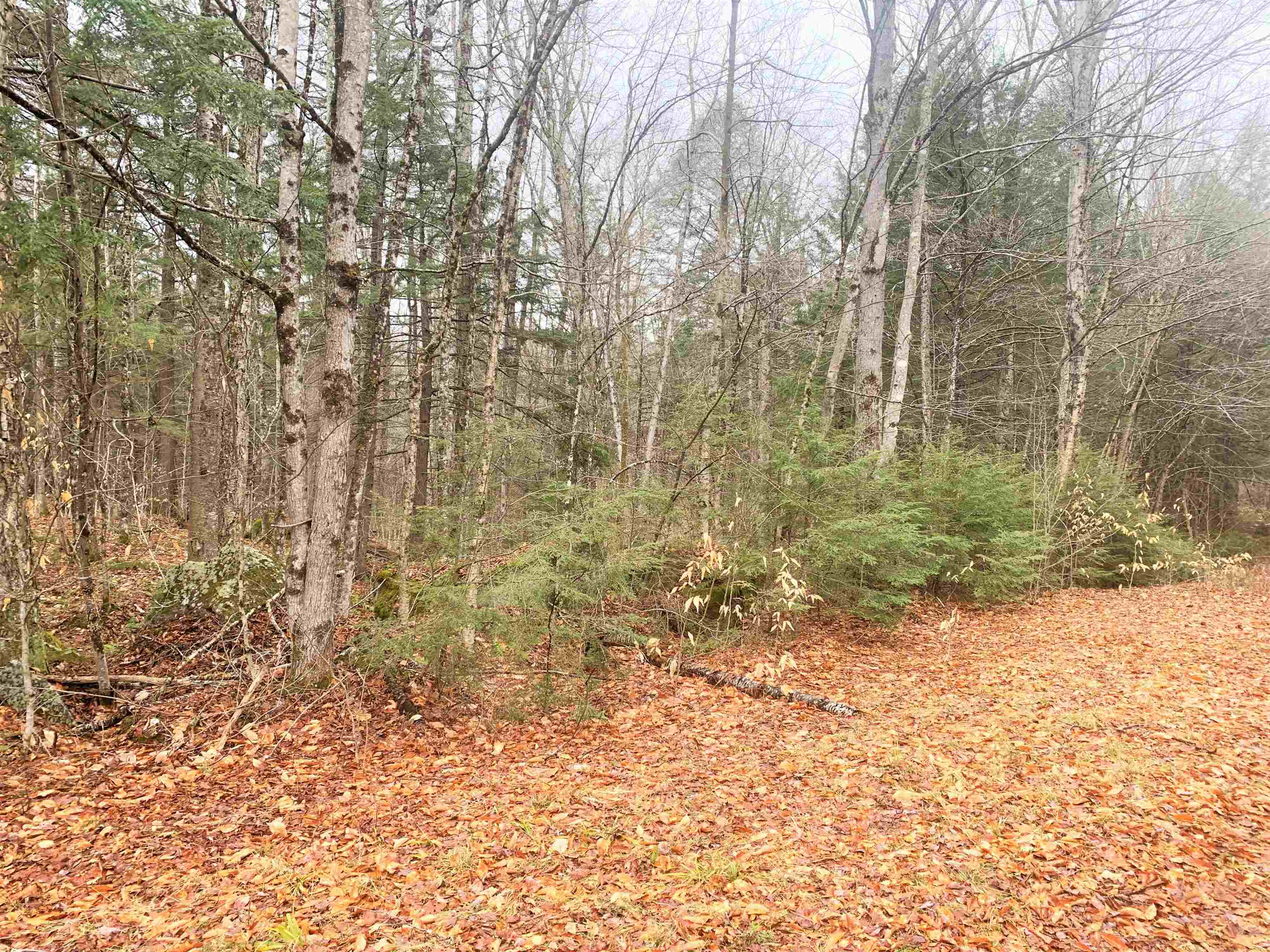 Village of Eastman in Town of Enfield NH  03748 Land for sale $List Price is $29,900