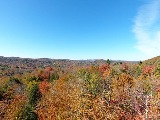 Large undeveloped forest land in southern Vermont...