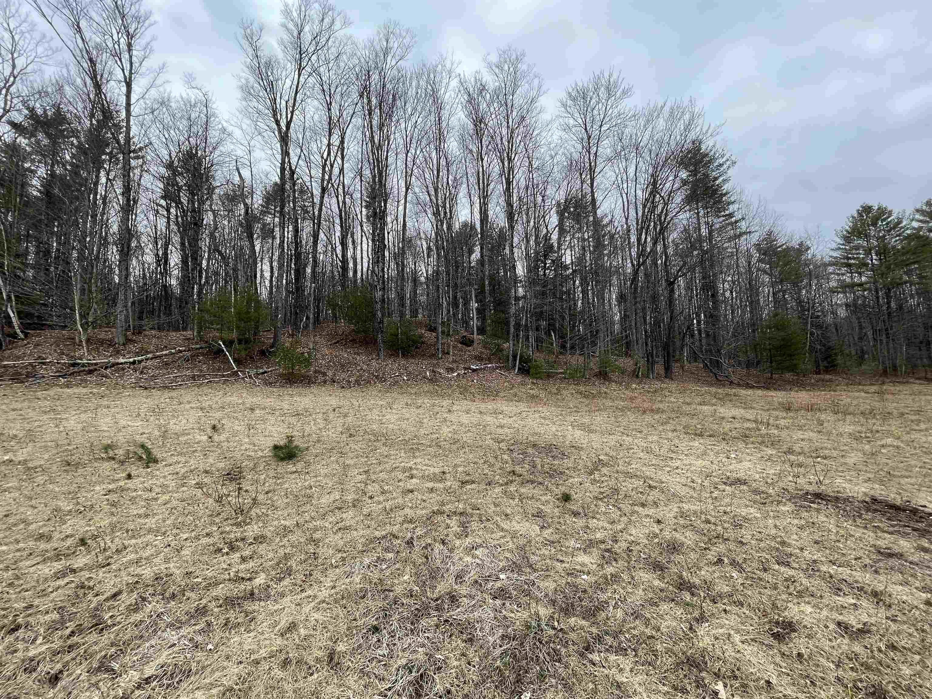 Acworth NH 03601 Land for sale $List Price is $95,000