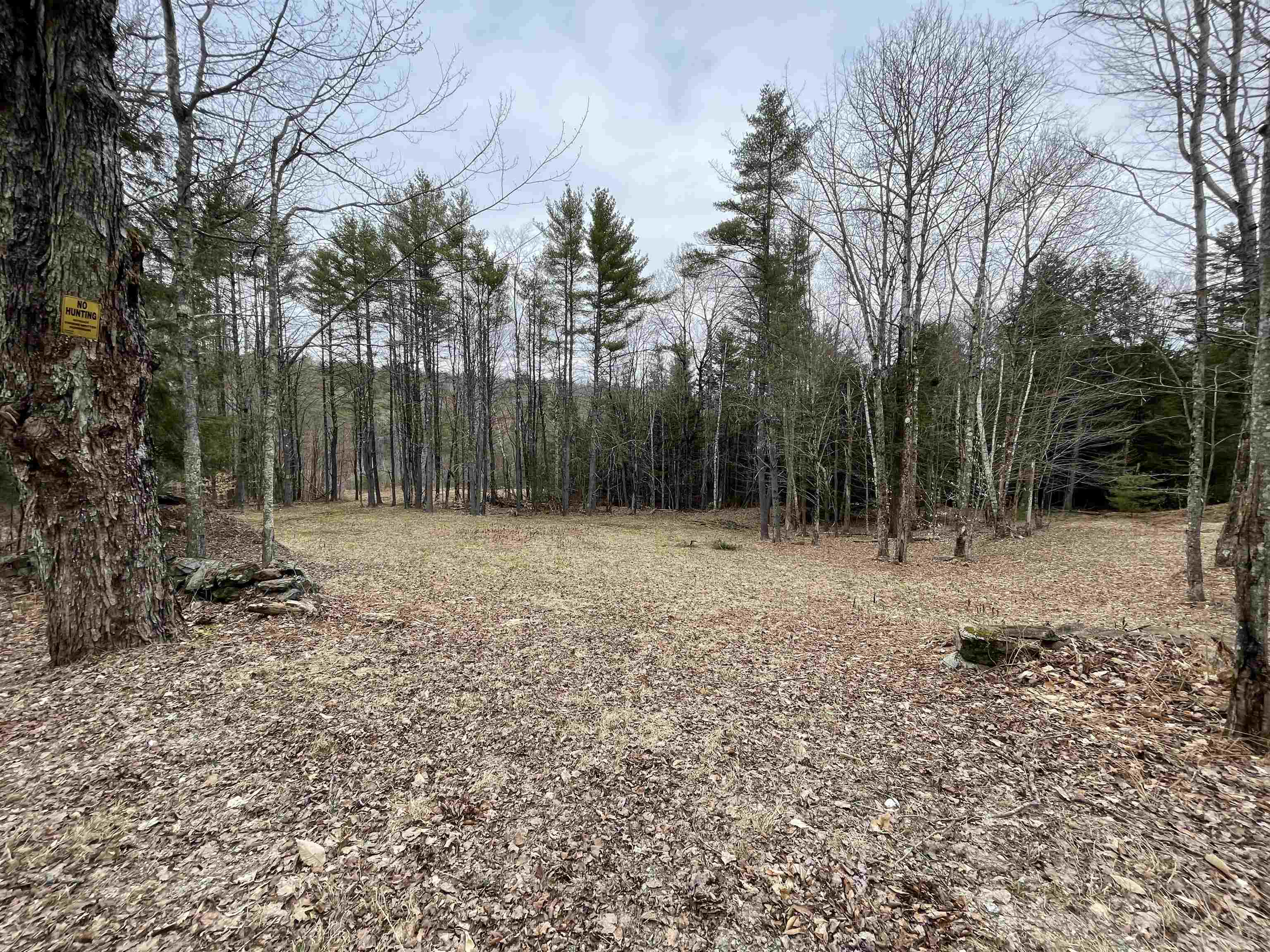 Acworth NH 03601 Land for sale $List Price is $40,000