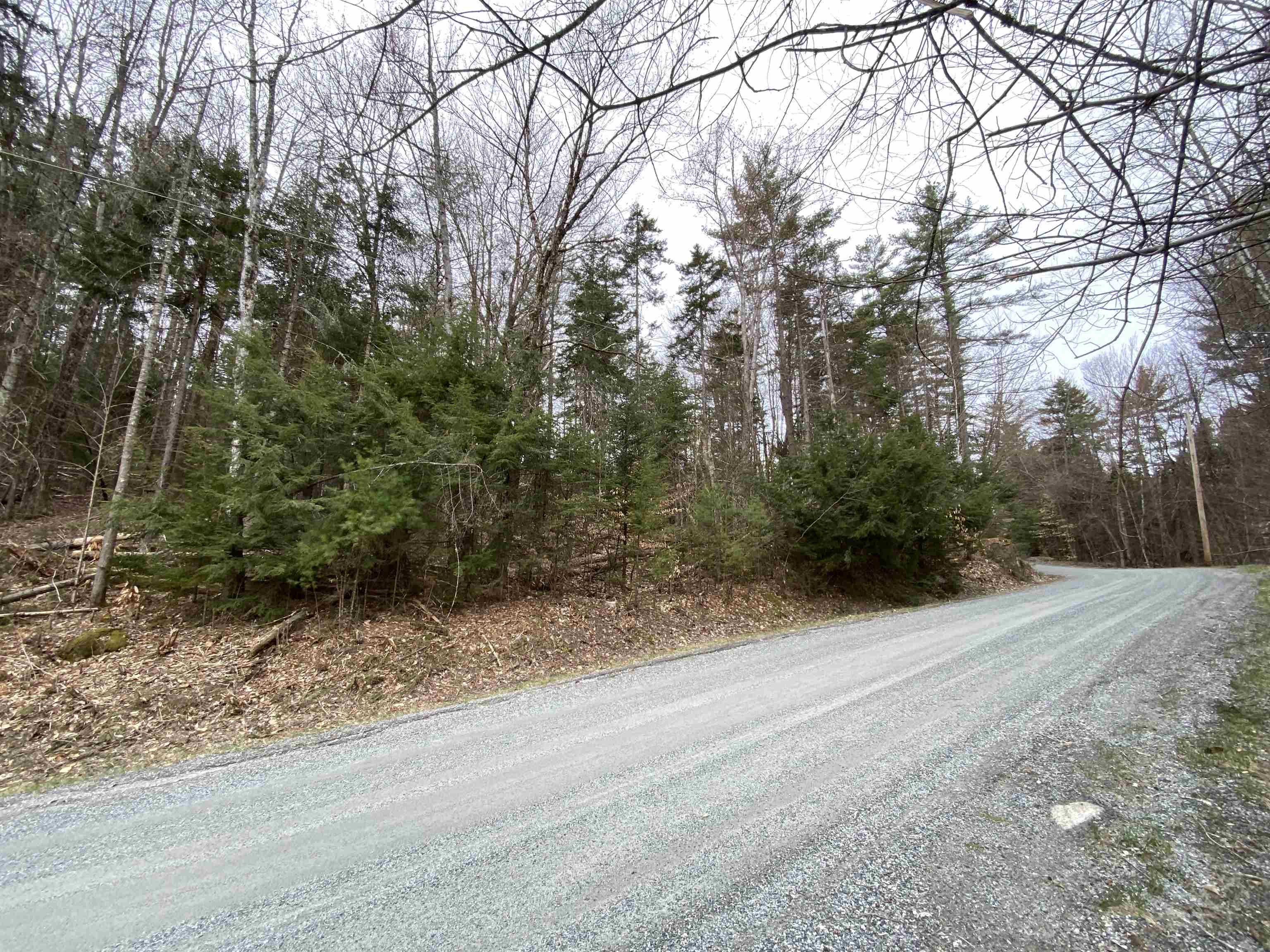 Village of Eastman in Town of Grantham NH  03753 Land for sale $List Price is $69,000