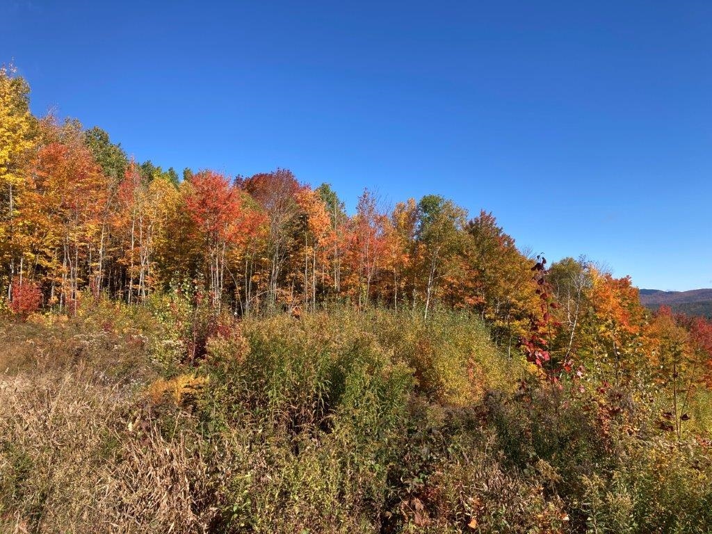 KINSMAN ROAD, Grafton, NH 03240 PrimeMLS