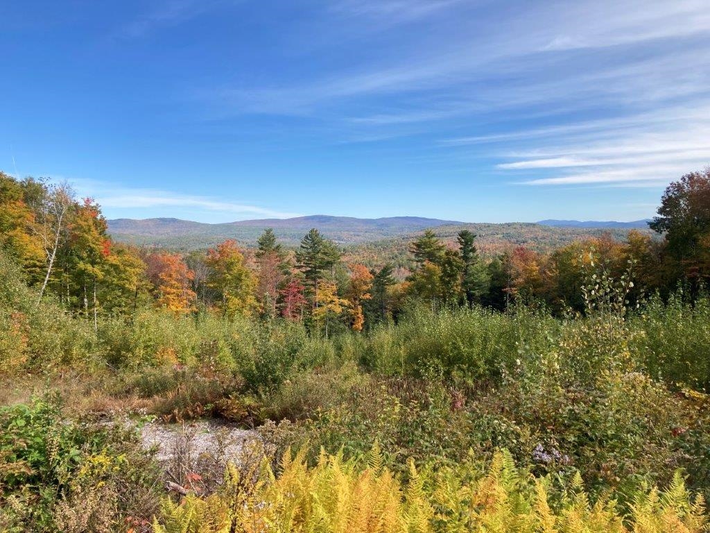 KINSMAN ROAD, Grafton, NH 03240 PrimeMLS