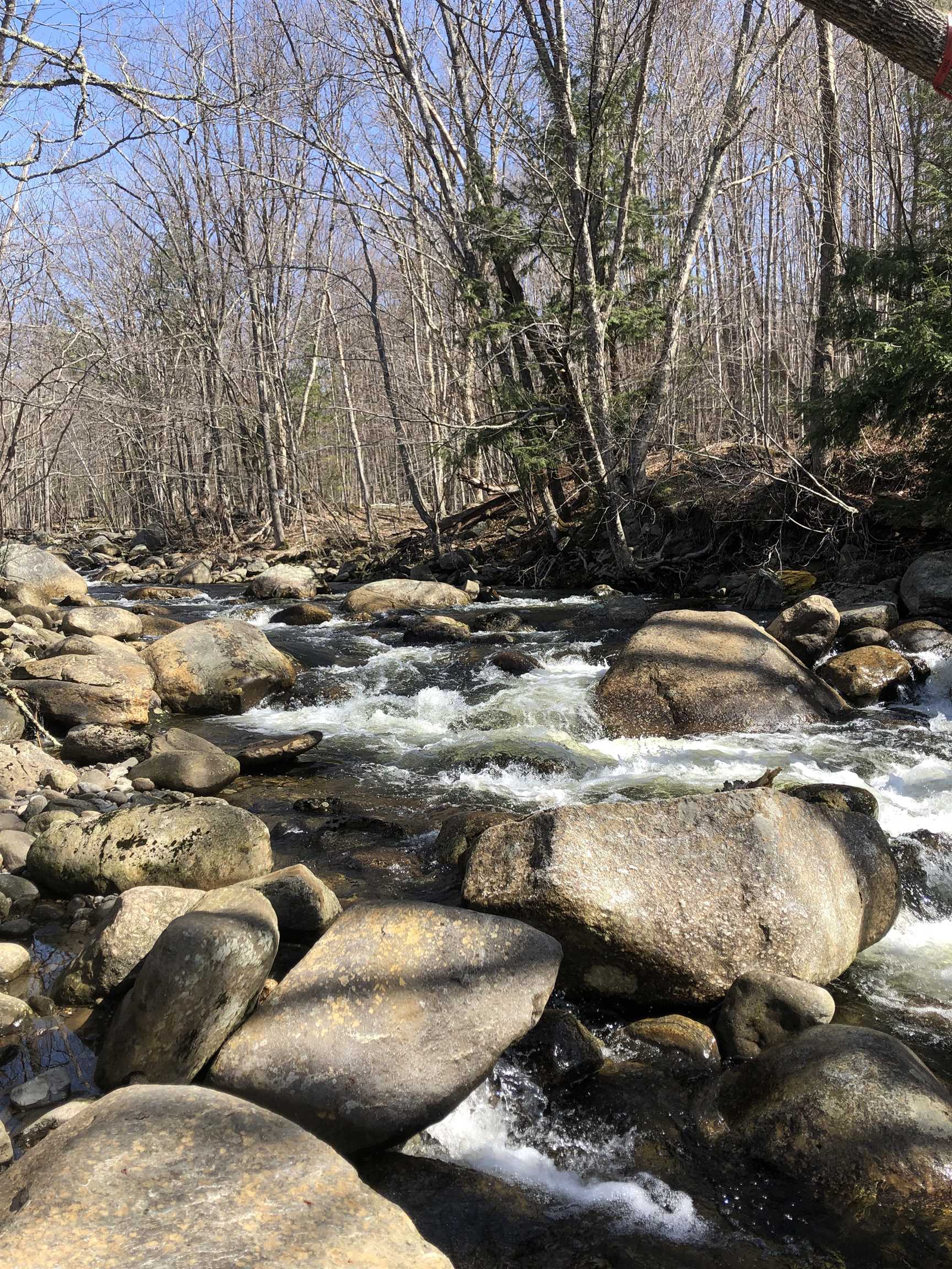 Stinson Lake Waterfront Real Estate For Sale