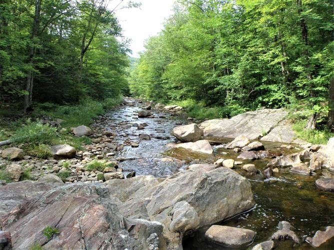 Beebe River during summer flow, the river runs parallel to the access road.