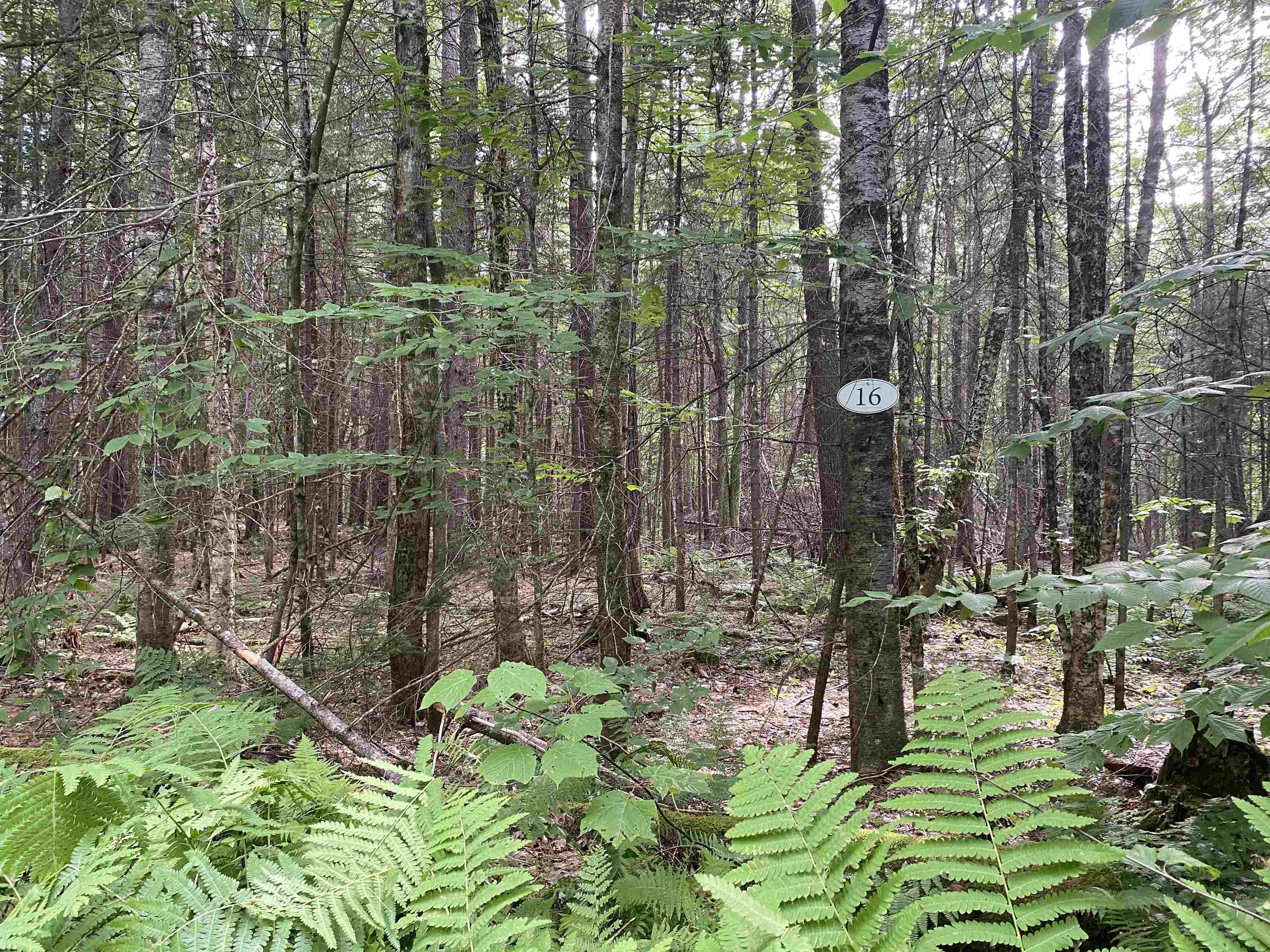 VILLAGE OF EASTMAN IN TOWN OF GRANTHAM NH Land / Acres for sale