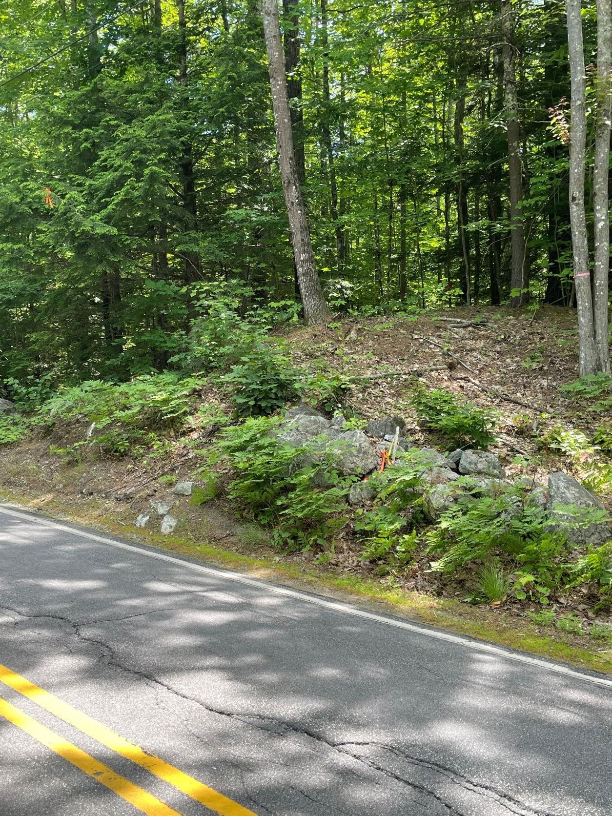 00 Governors Road Lot 1C, Brookfield, NH 03872