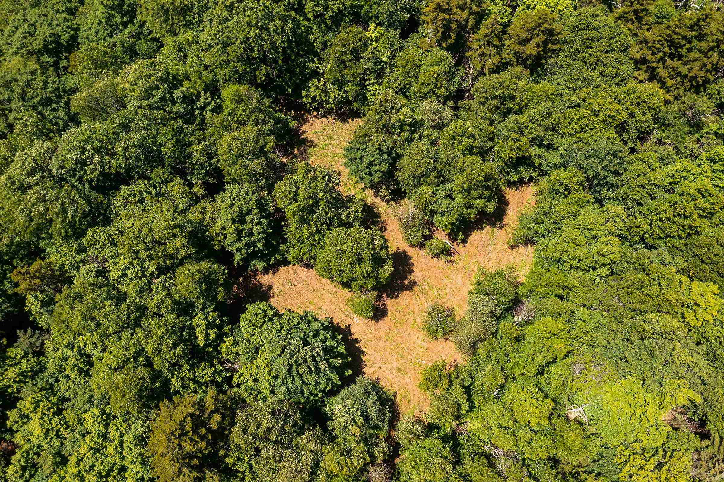 Mount Holly, VT Homes for Sale Kelley Real Estate