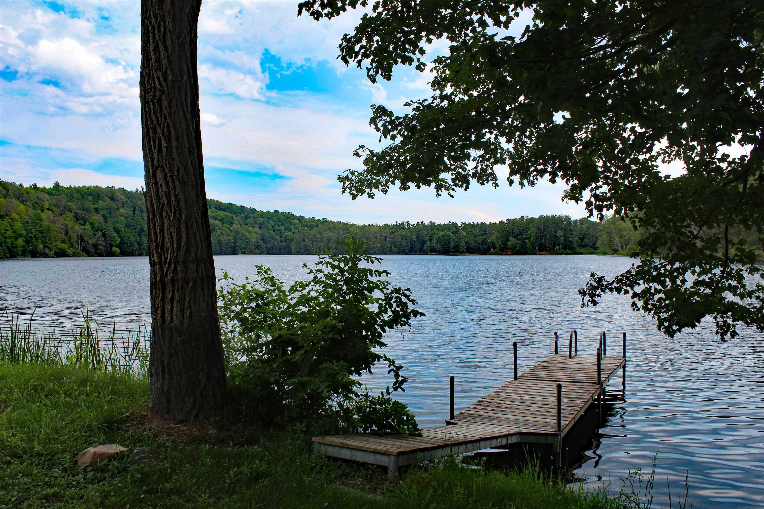 67 Sunrise Lake Road, Orwell, VT 05760 NEREN