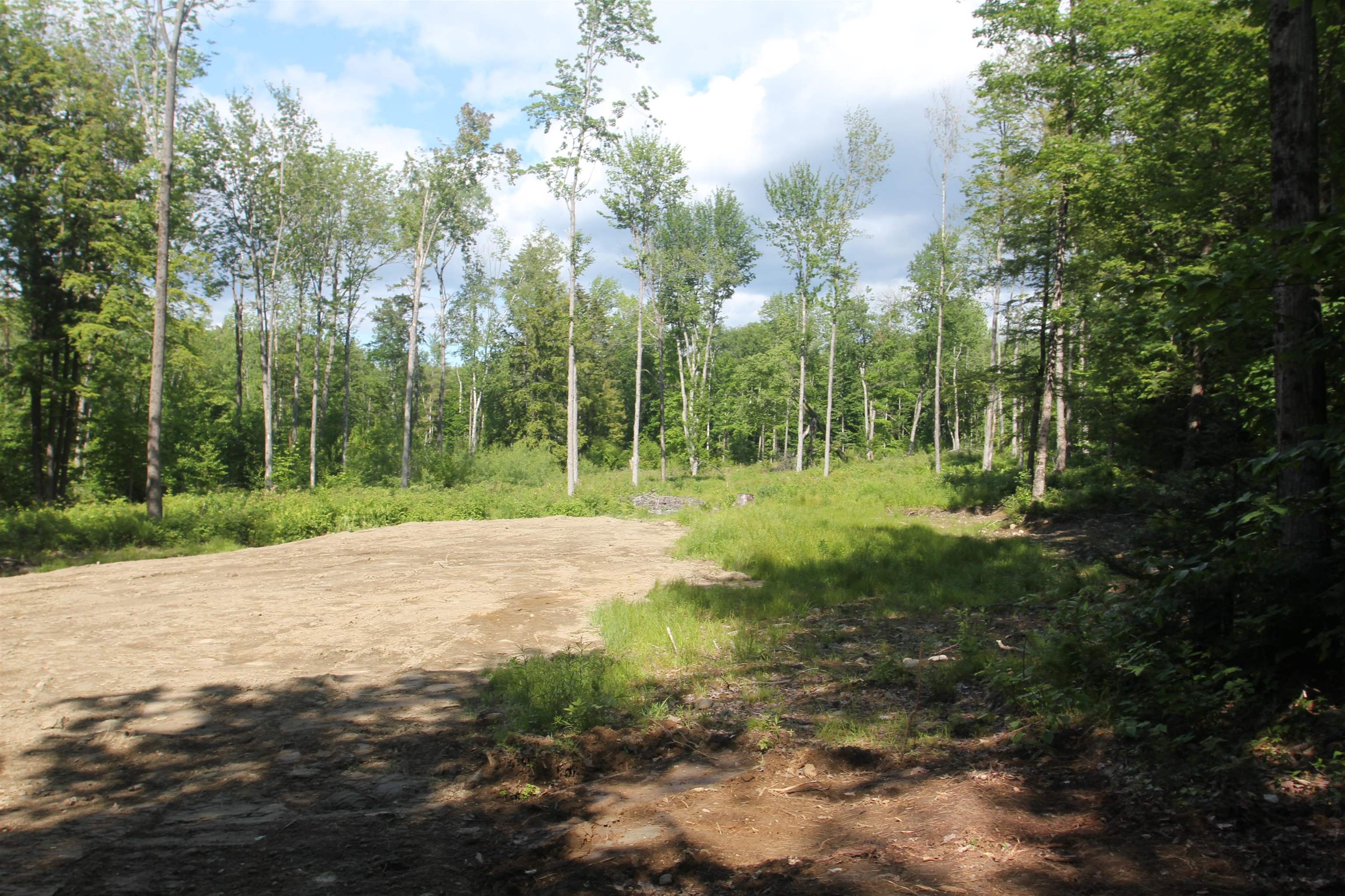 GOSHEN NH Land / Acres for sale