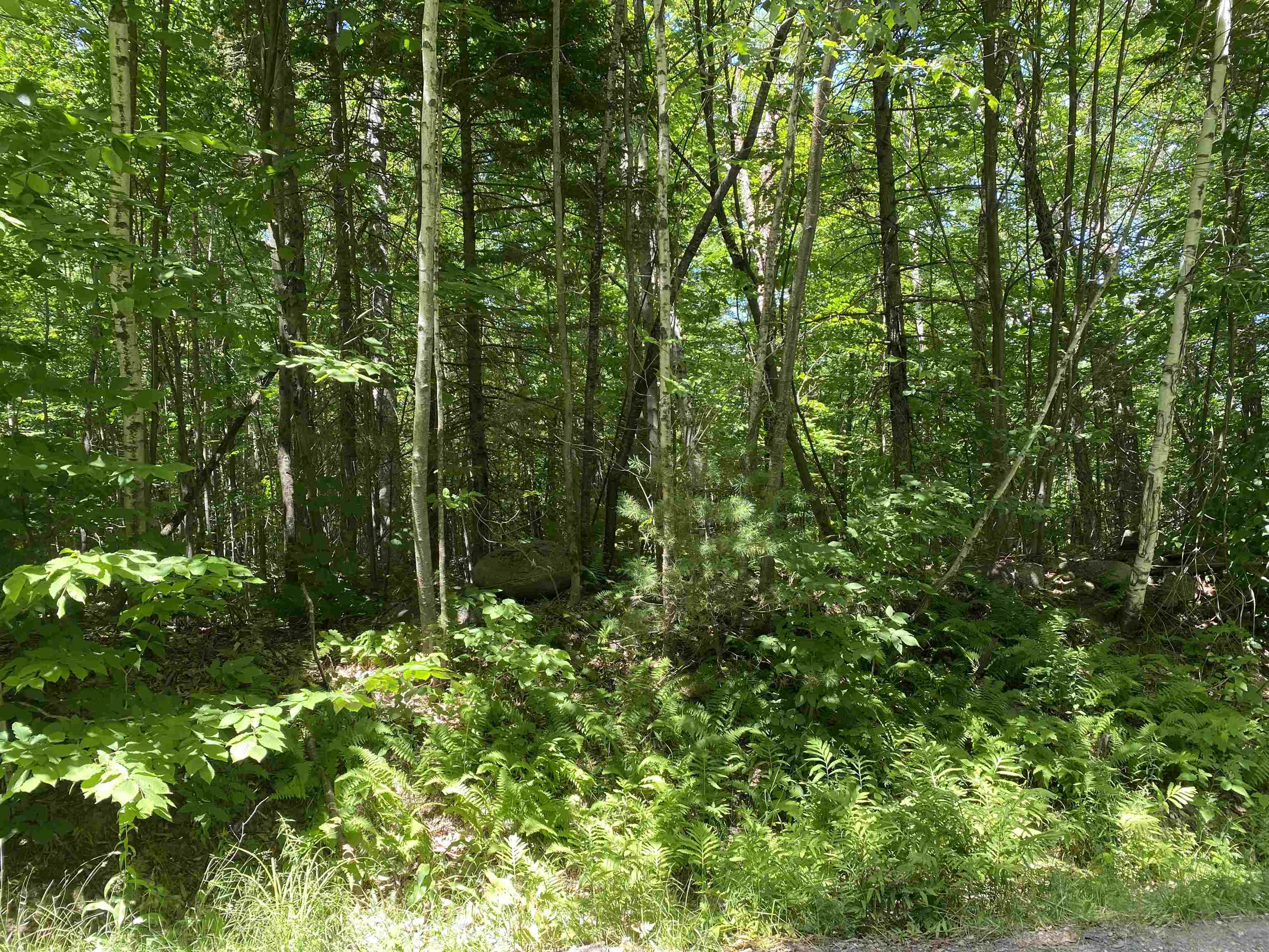 Grantham NH 03753 Land for sale $List Price is $29,900