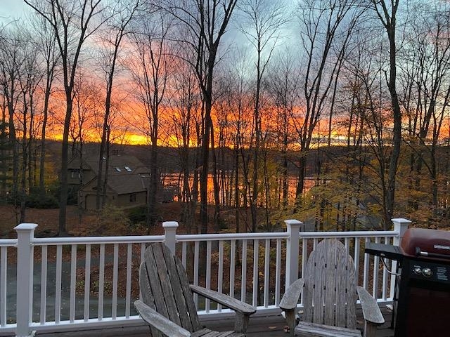 VILLAGE OF EASTMAN IN TOWN OF GRANTHAM NH Homes for sale