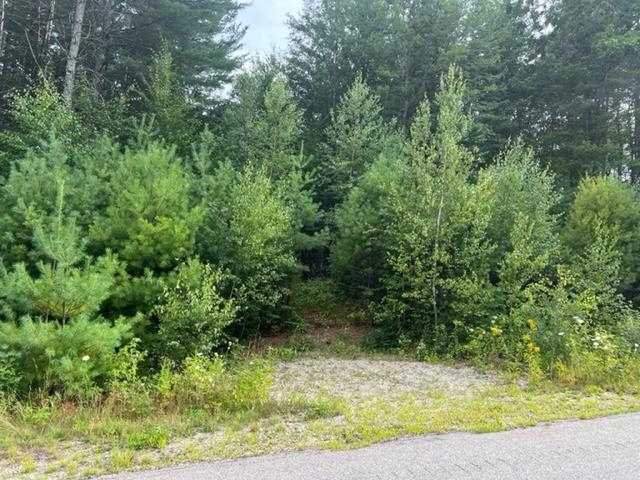 Fantastic price refresh on this 18 acre parcel of diverse paradise - available in Mulhall Farm Subdivision. Land is home to wonderful ponds and stream, plenty of room for house lot  or camping retreat. Come build your dream home today.  Second culvert in on Mulhall Farm Road - you will see "posted" sign on pole directly before the parking.