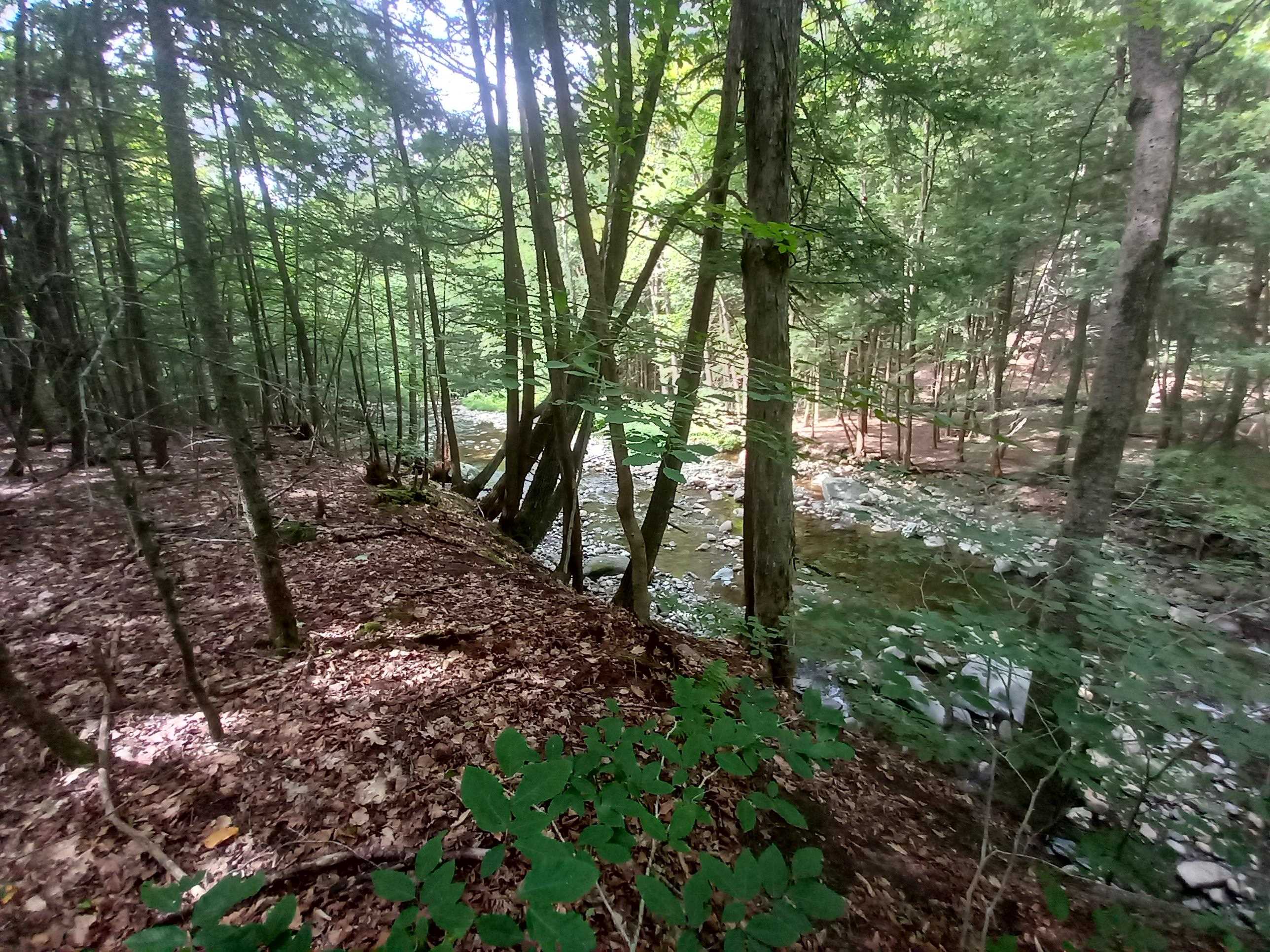 CHARLESTOWN NH Land / Acres for sale
