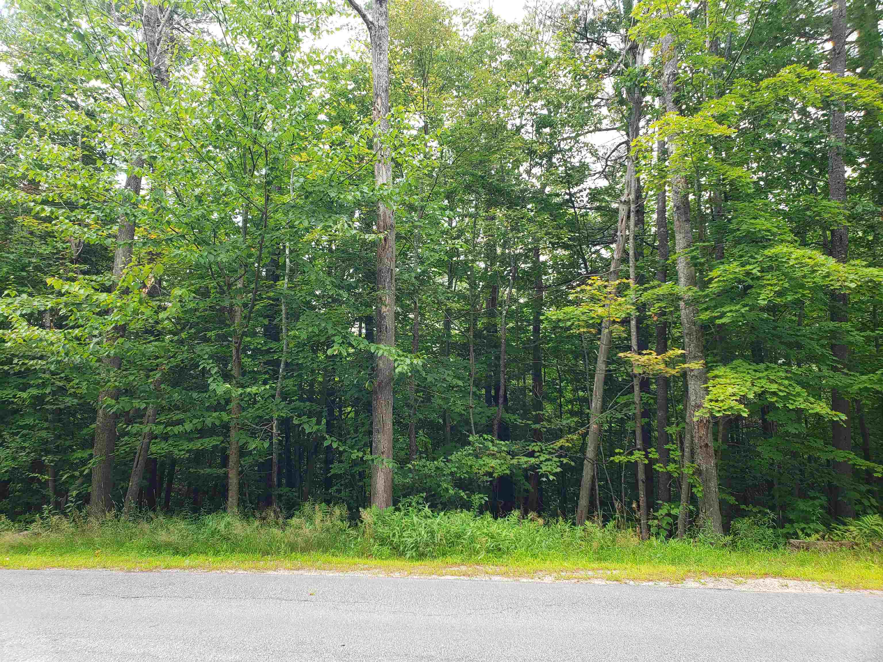 Lempster NH 03605 Land for sale $List Price is $95,000