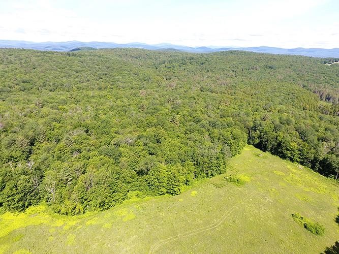 Large field with forest land around it on Lot 1 as seen from a drone