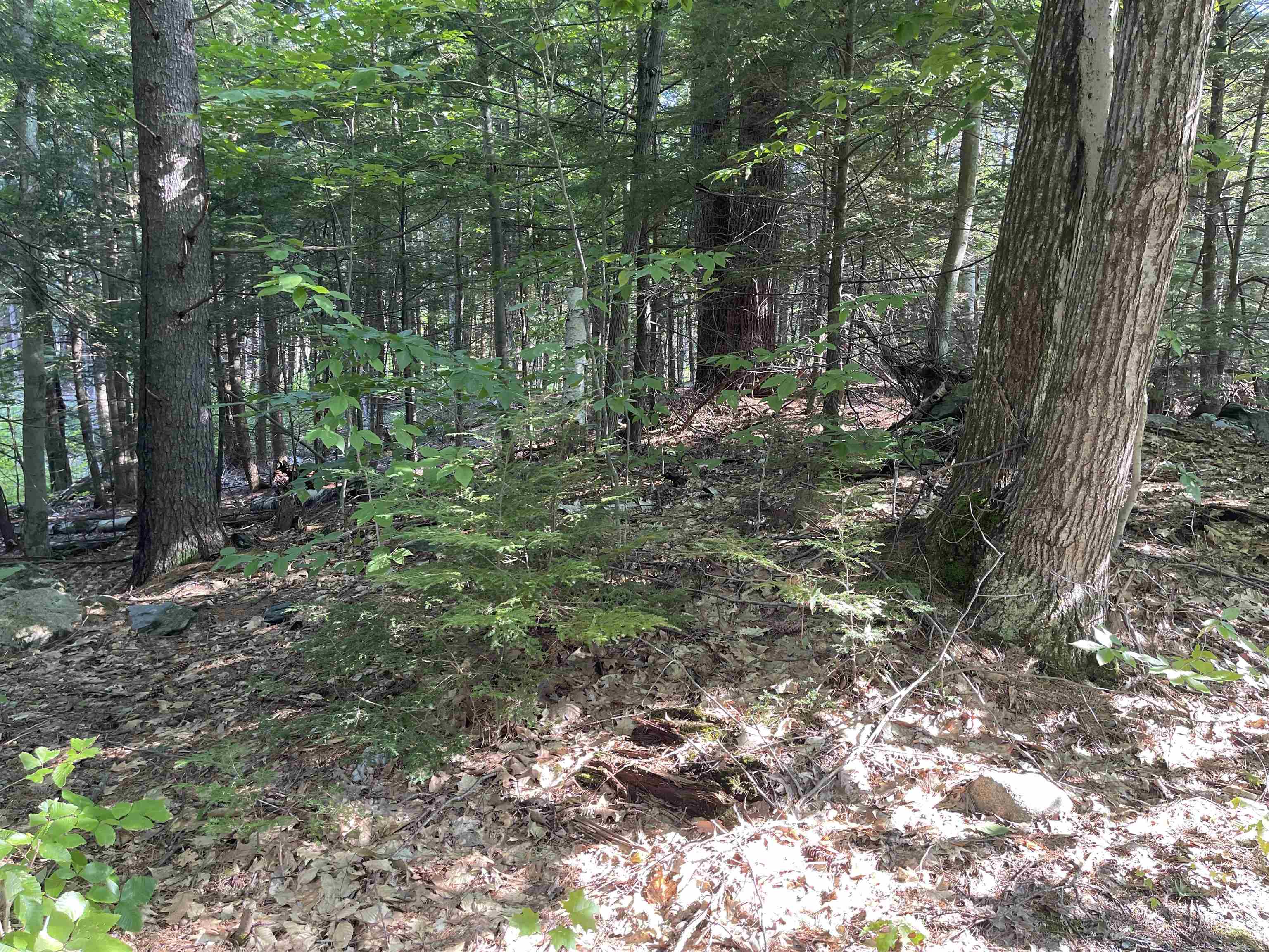 Springfield VT 05156 Land for sale $List Price is $59,000