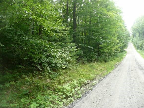 Newport NH 03773 Land for sale $List Price is $60,000
