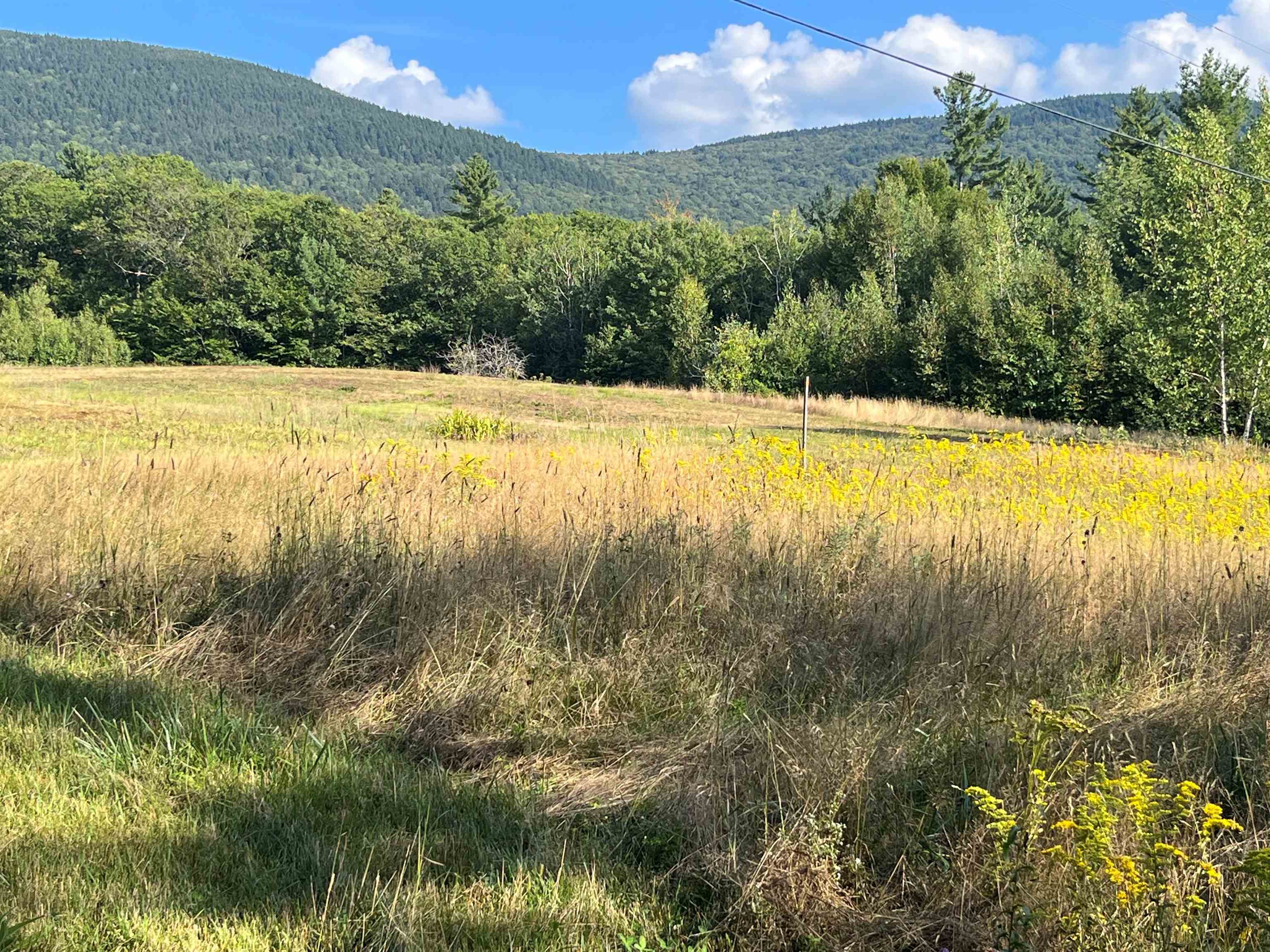 WILMOT NH LAND  for sale $$284,999 | 11.2 Acres  | Price Per Acre $0 