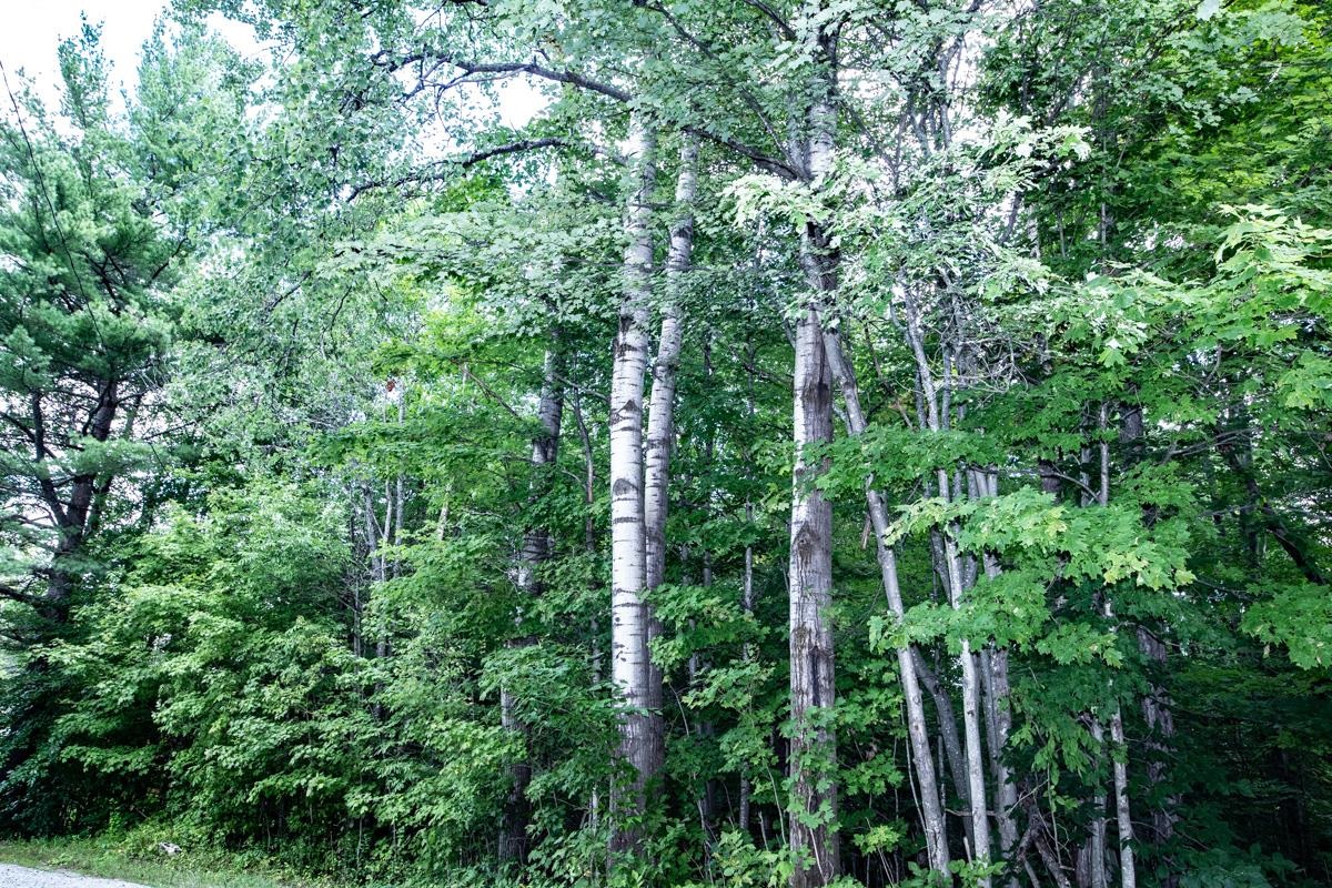 00 Okemo Acres Road, Ludlow, VT 05149