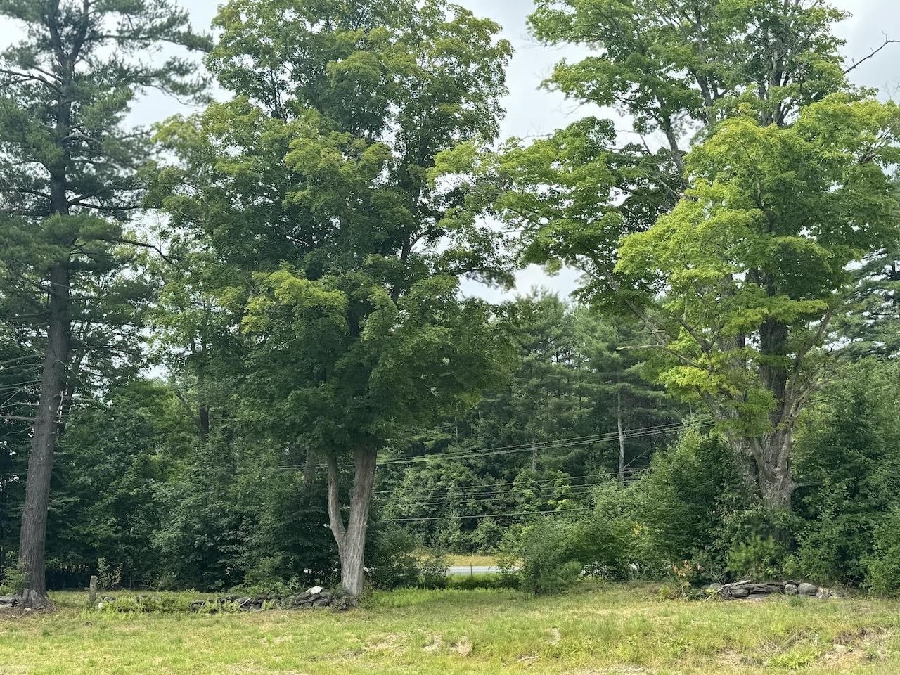 Open Area
