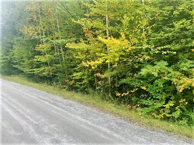 Village of Eastman in Town of Grantham NH  03753 Land for sale $List Price is $25,000