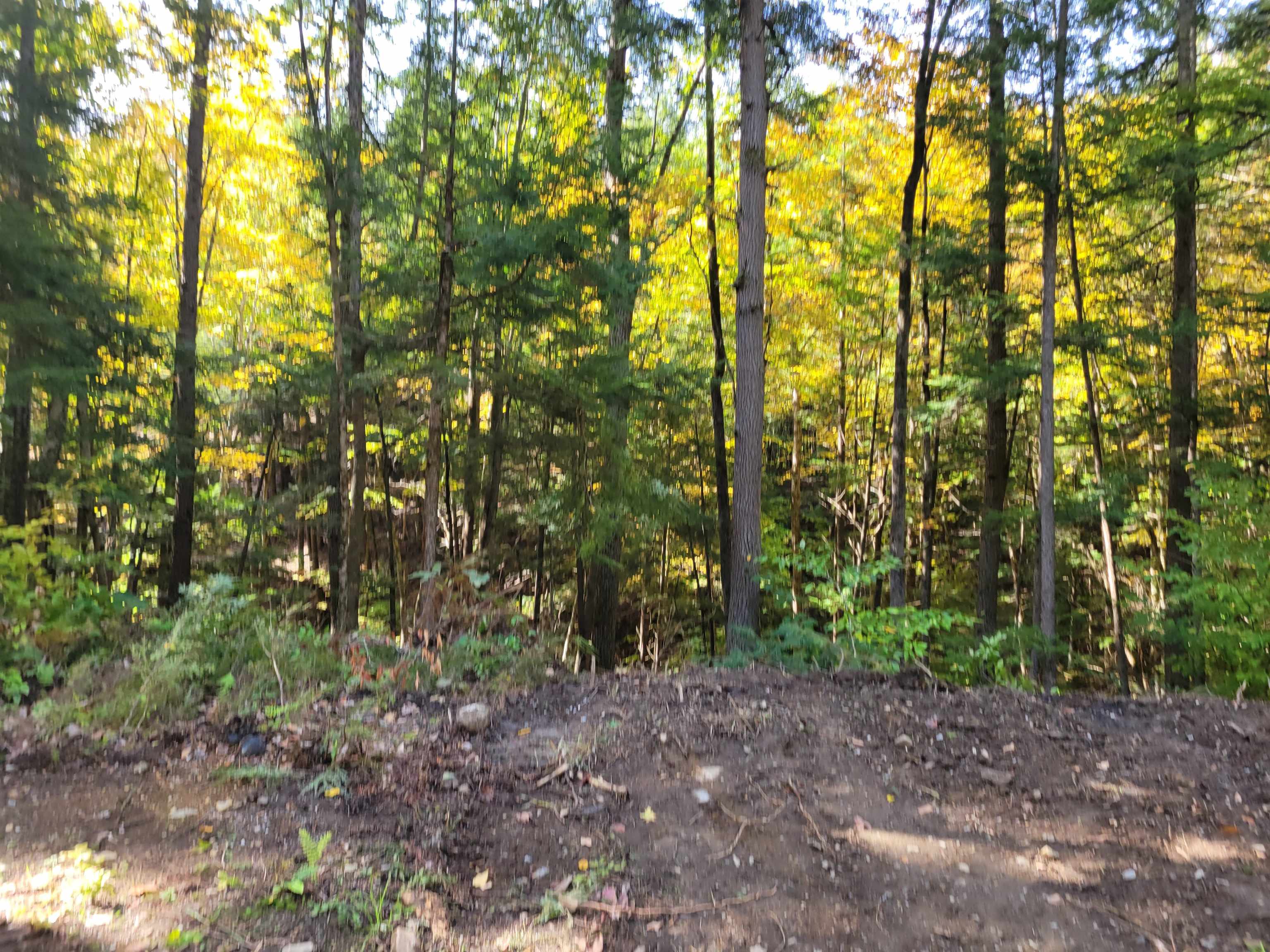 Weathersfield Vermont Land / Acres between 0 and 30000000 dollars page 1