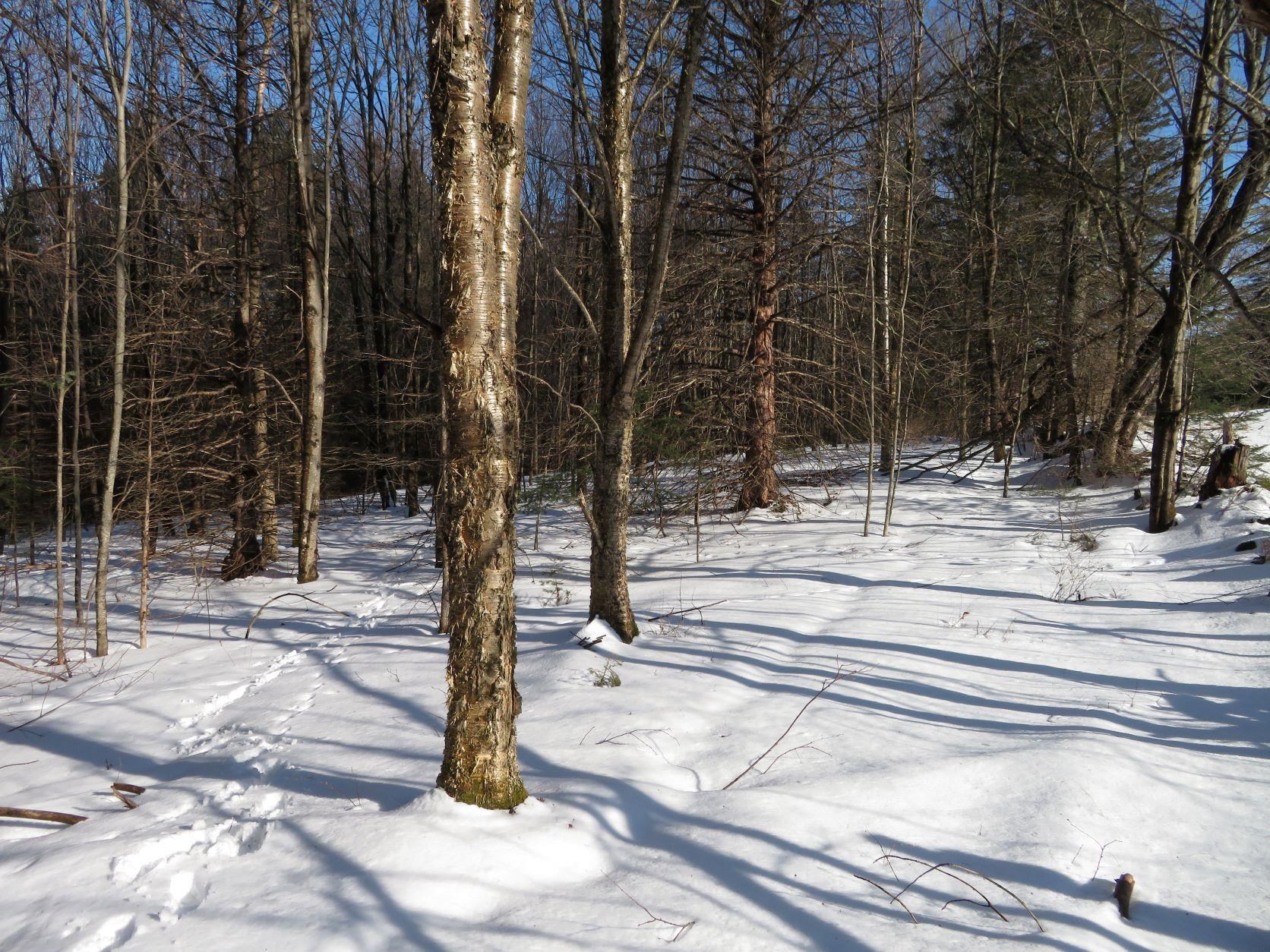 Vermont-Real-Estate-4936192-5