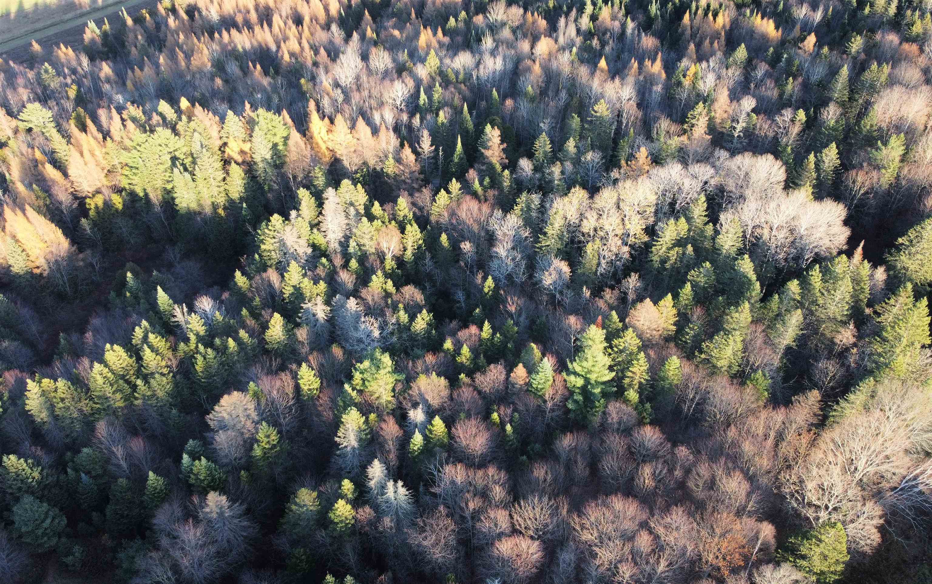 Vermont-Real-Estate-4936192-9