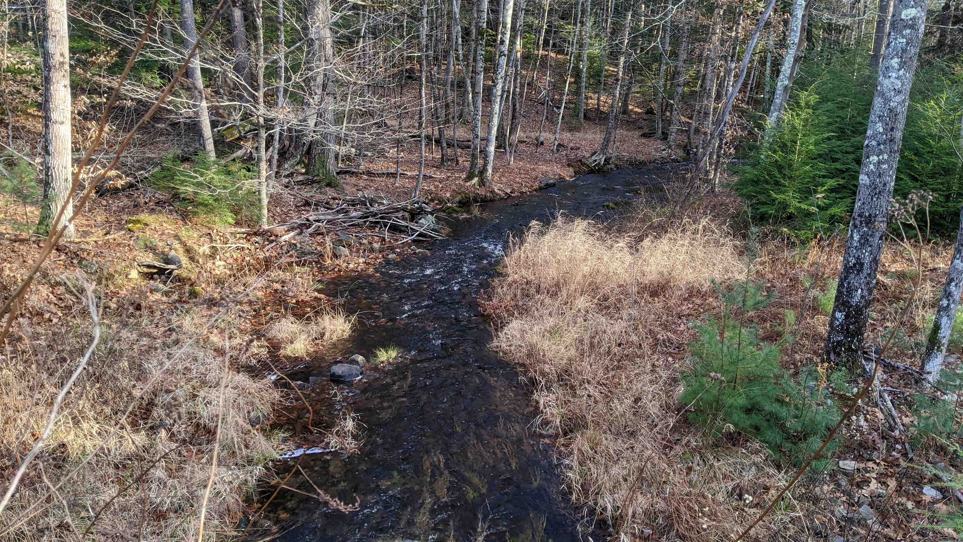 Map 9 Lot 12 Perry Brook Road Chichester, NH Photo