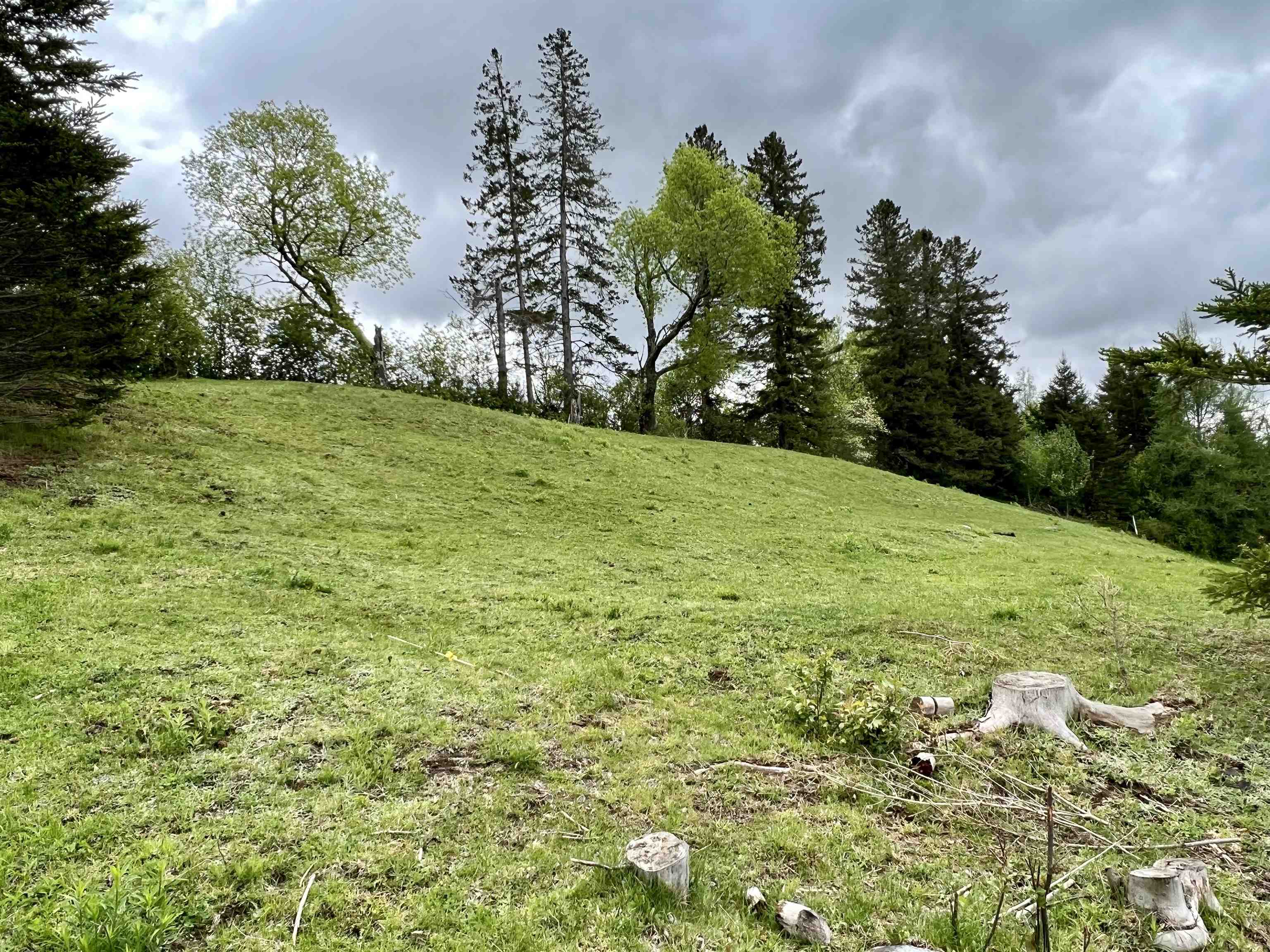 0 NH Route 26, Colebrook, NH Listing 4941117 by Raymond E Davis